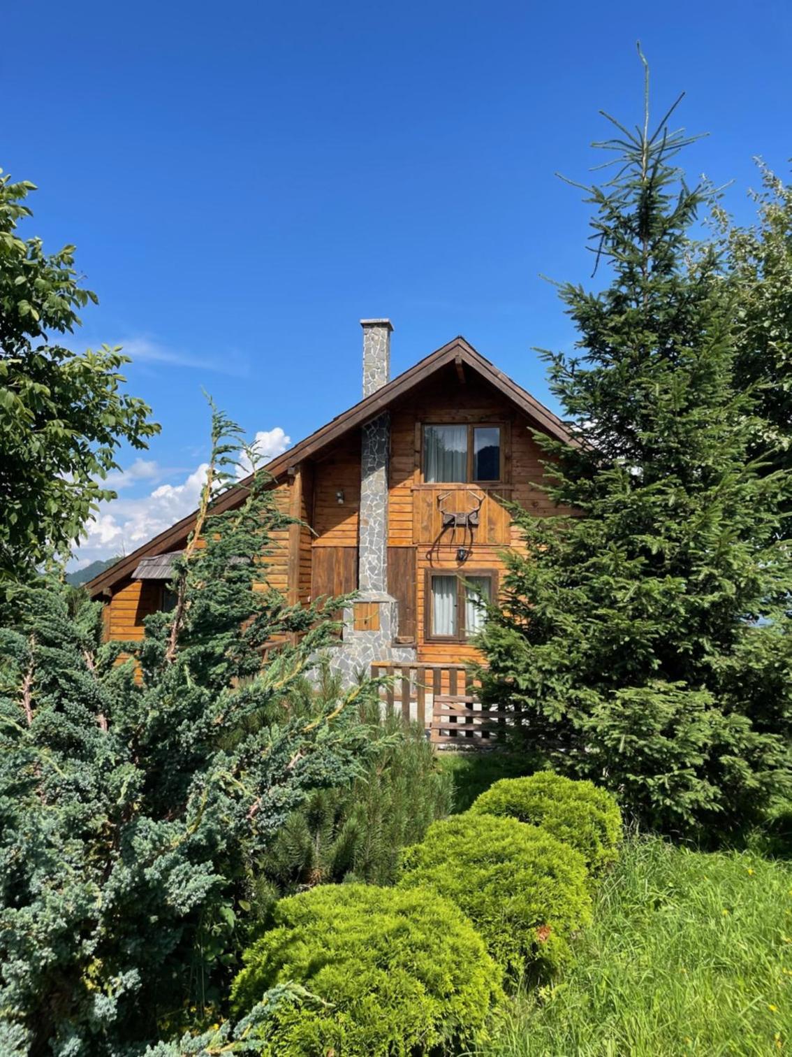 Vacation Home photo 2