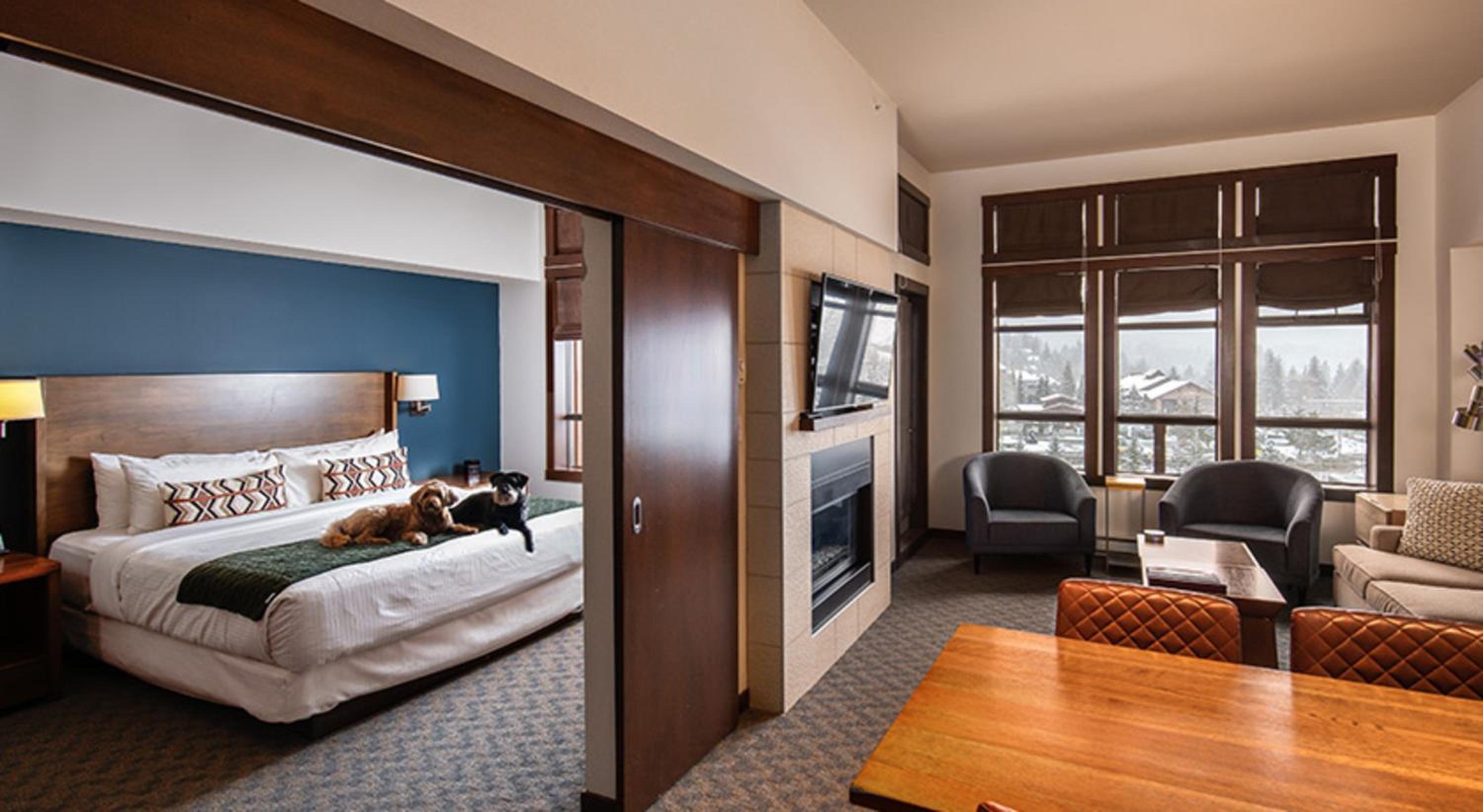 One-Bedroom Apartment - Photo 3