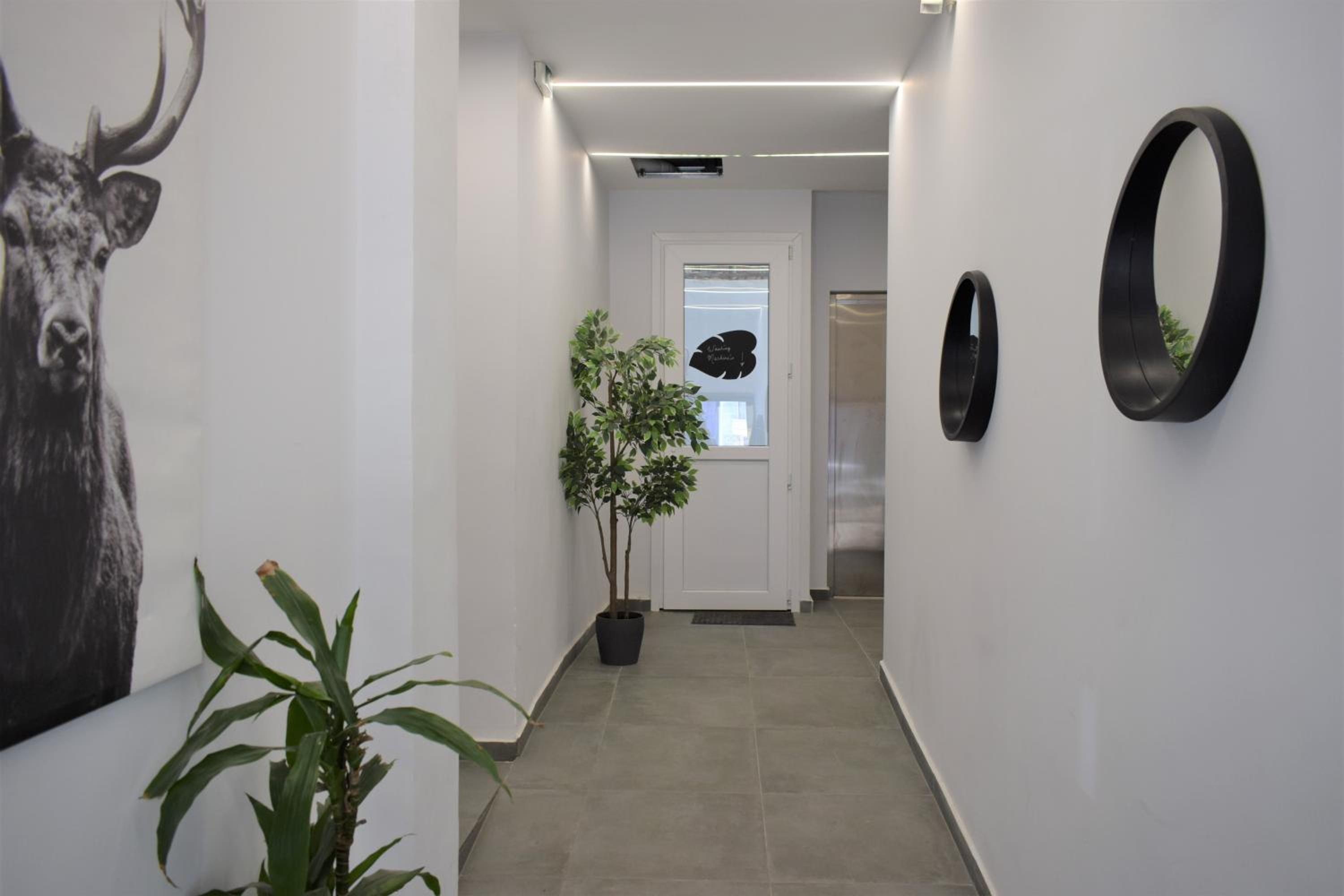 Two-Bedroom Apartment photo 2