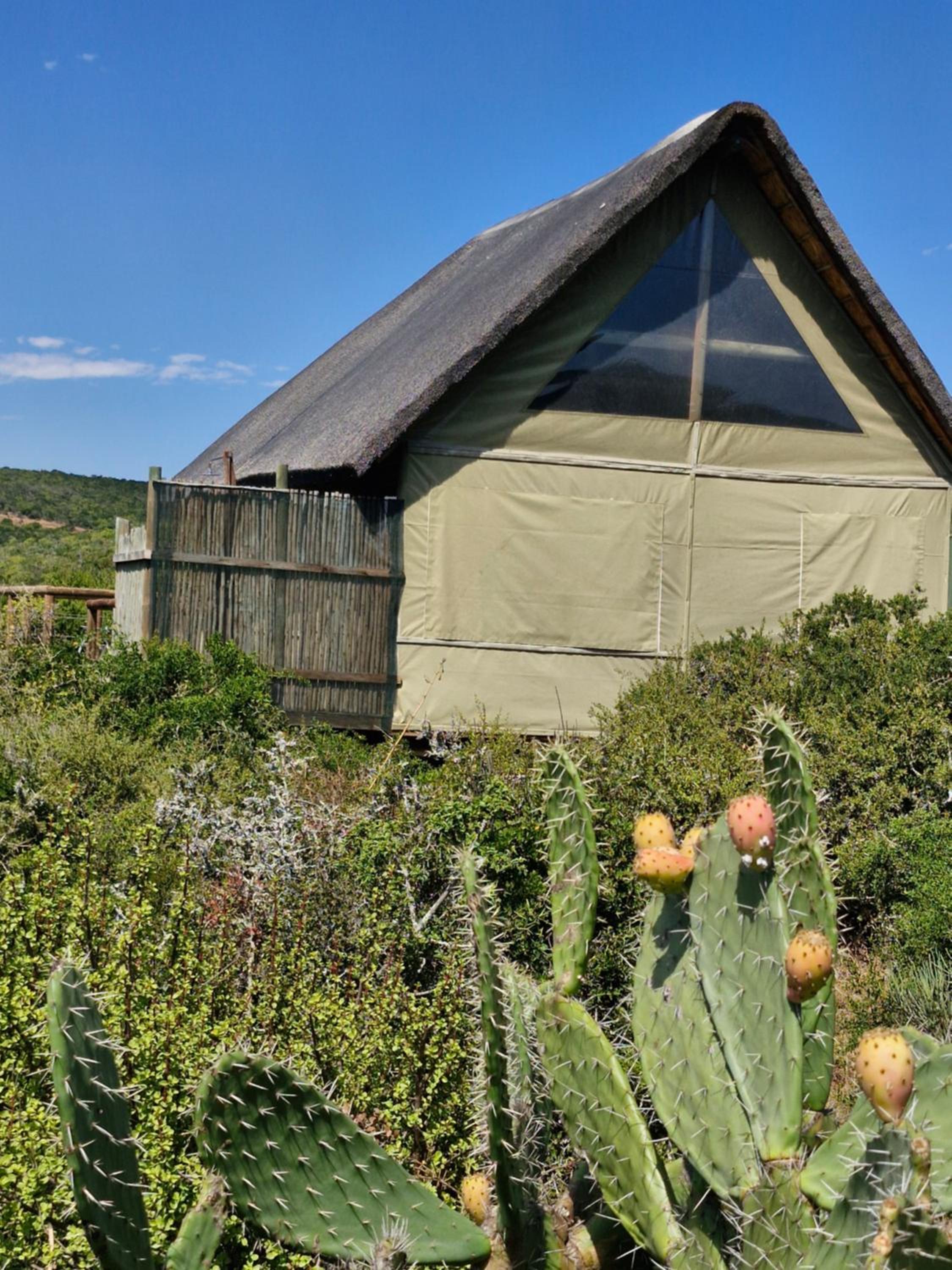 Tent photo 3