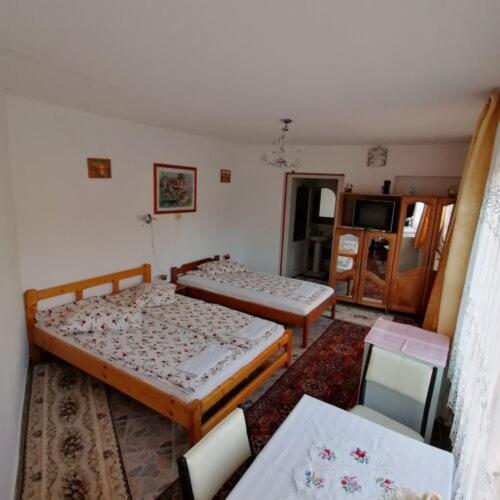 Twin Room photo 1