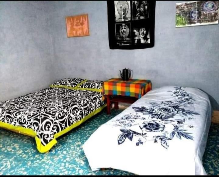 Double Or Twin Room photo 1