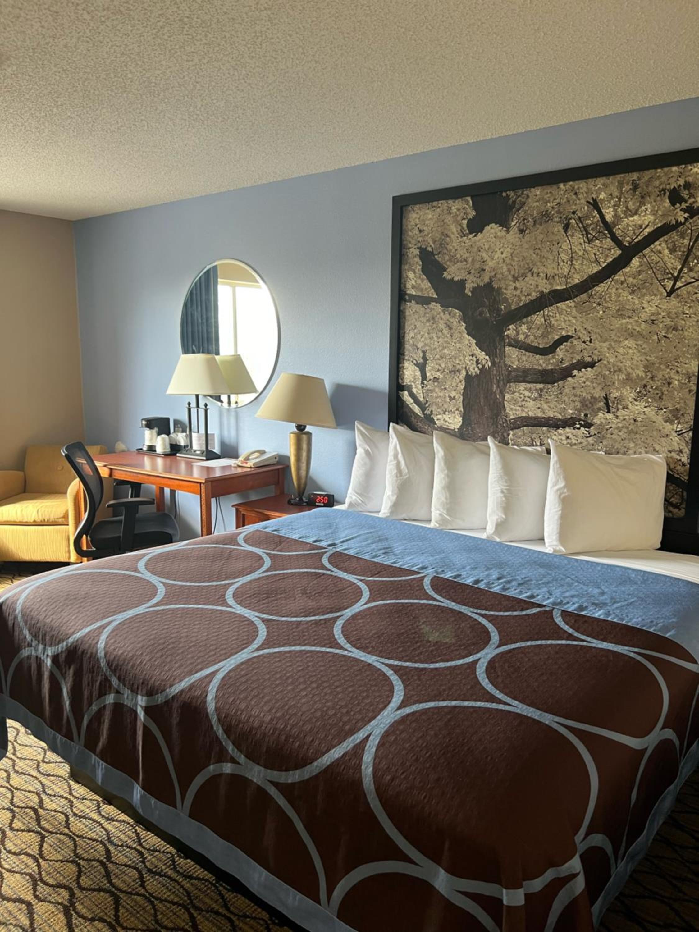 King Room - Non-Smoking - Photo 1
