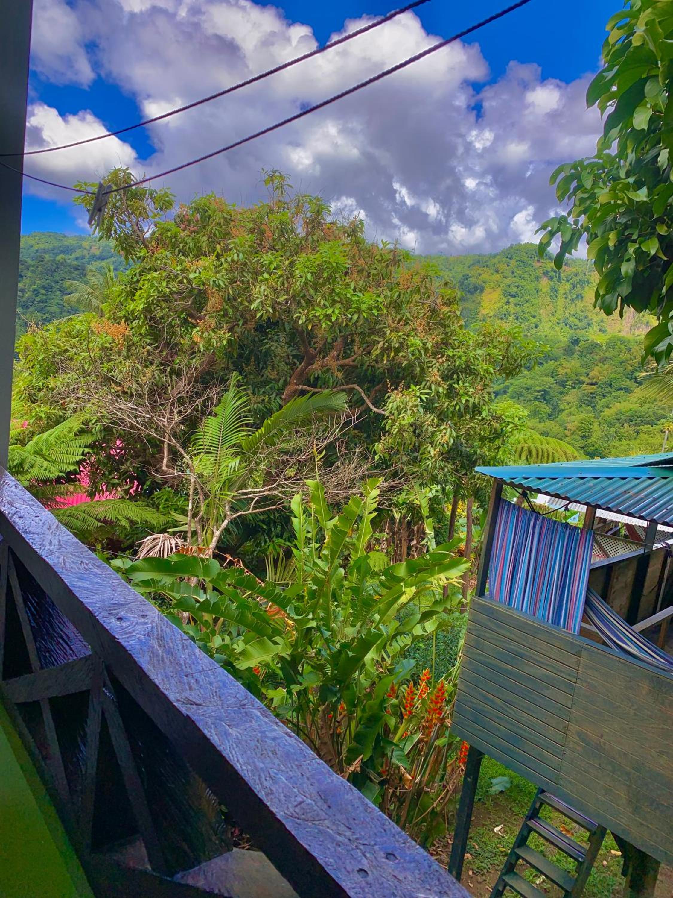 Double Room with Mountain View photo 2