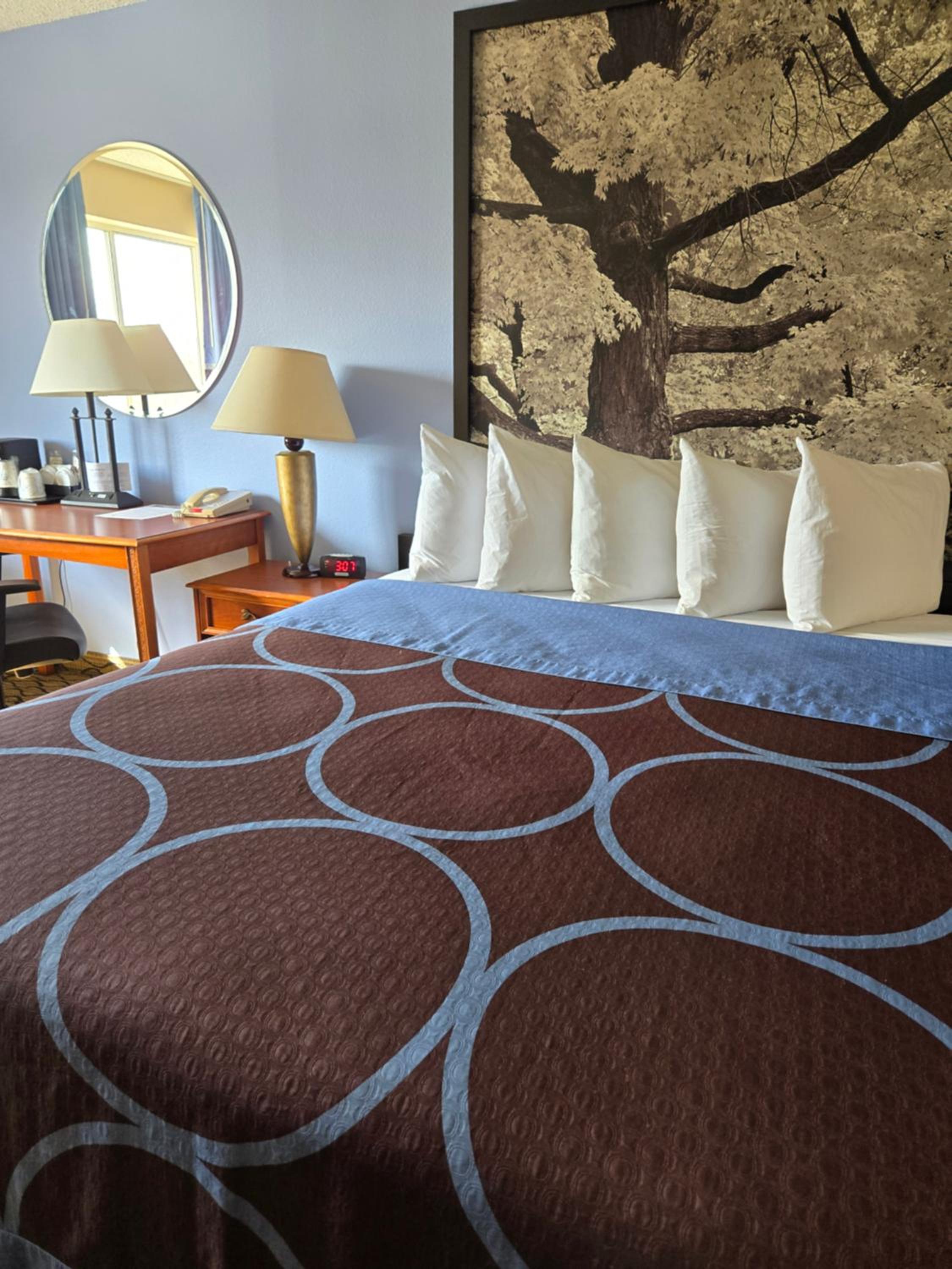 King Room - Non-Smoking - Photo 4