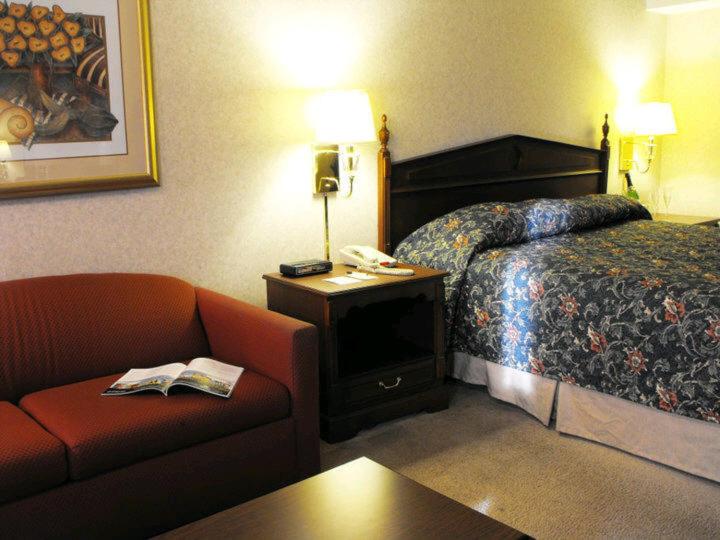 Business King Room - Photo 4