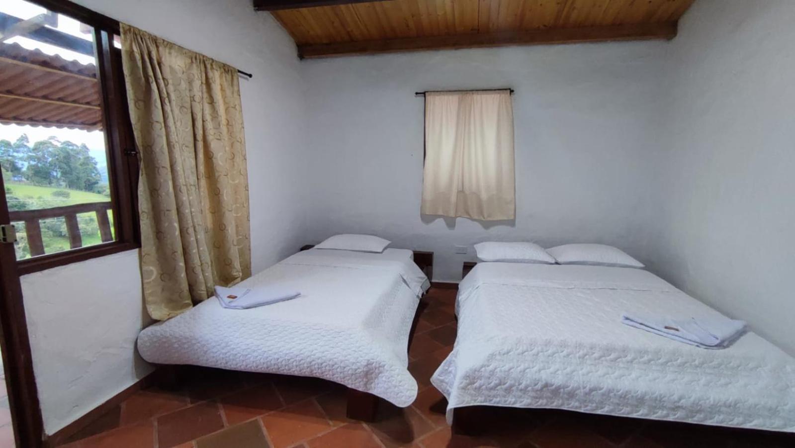 Twin Room with Mountain View photo 2