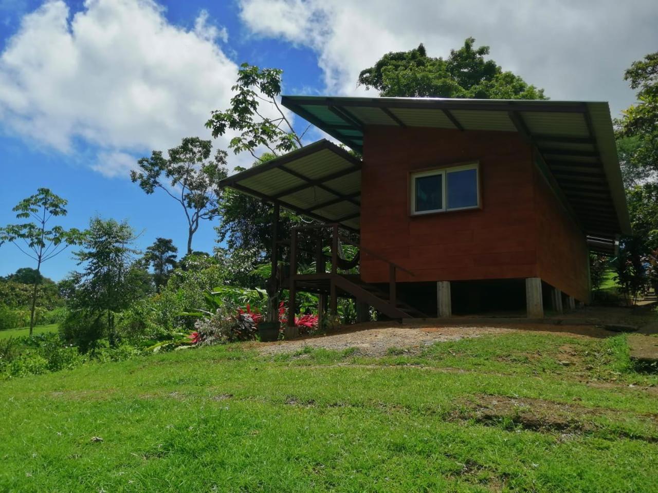 Family Room with Terrace photo 2