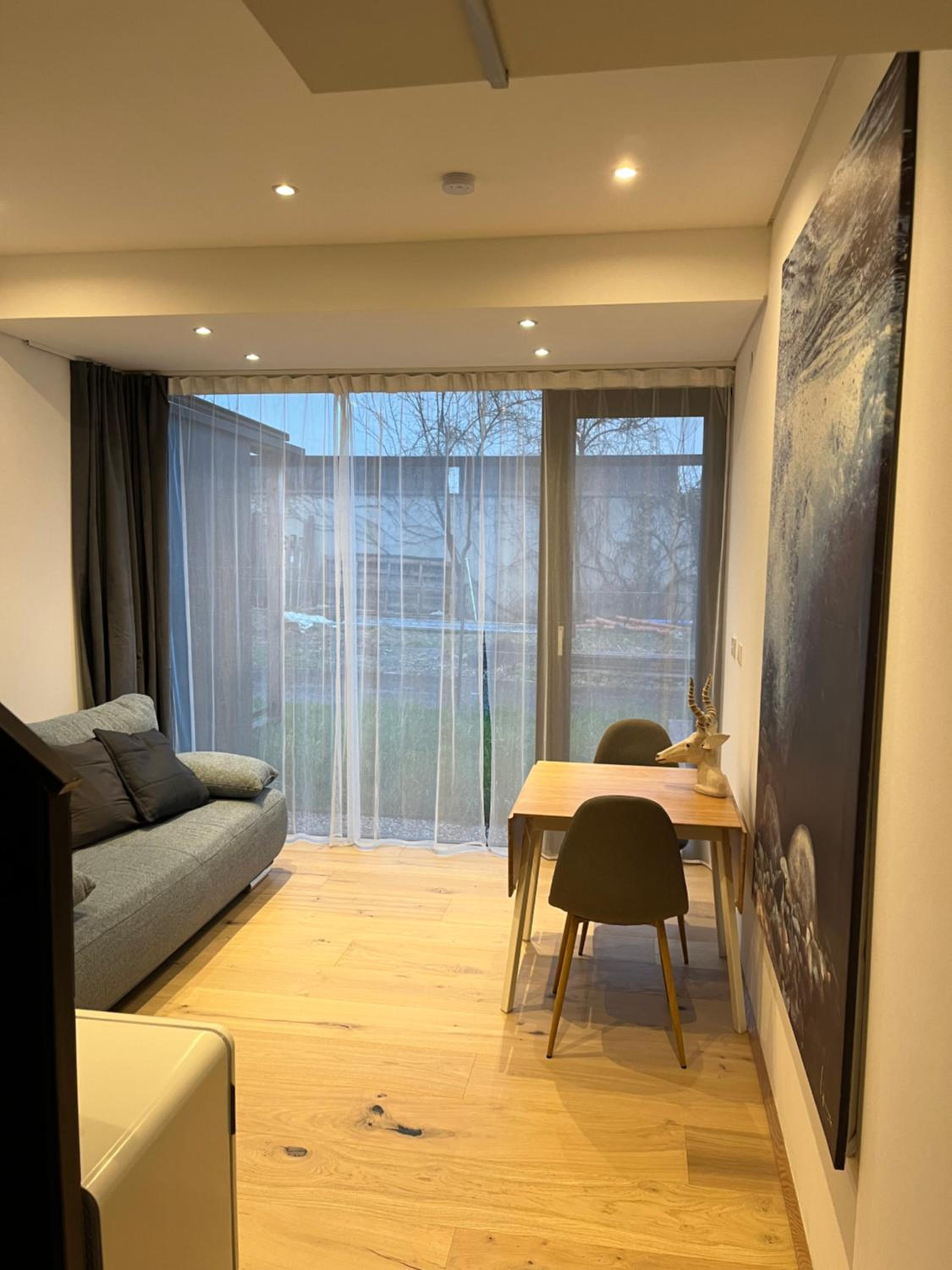 One-Bedroom Apartment photo 3