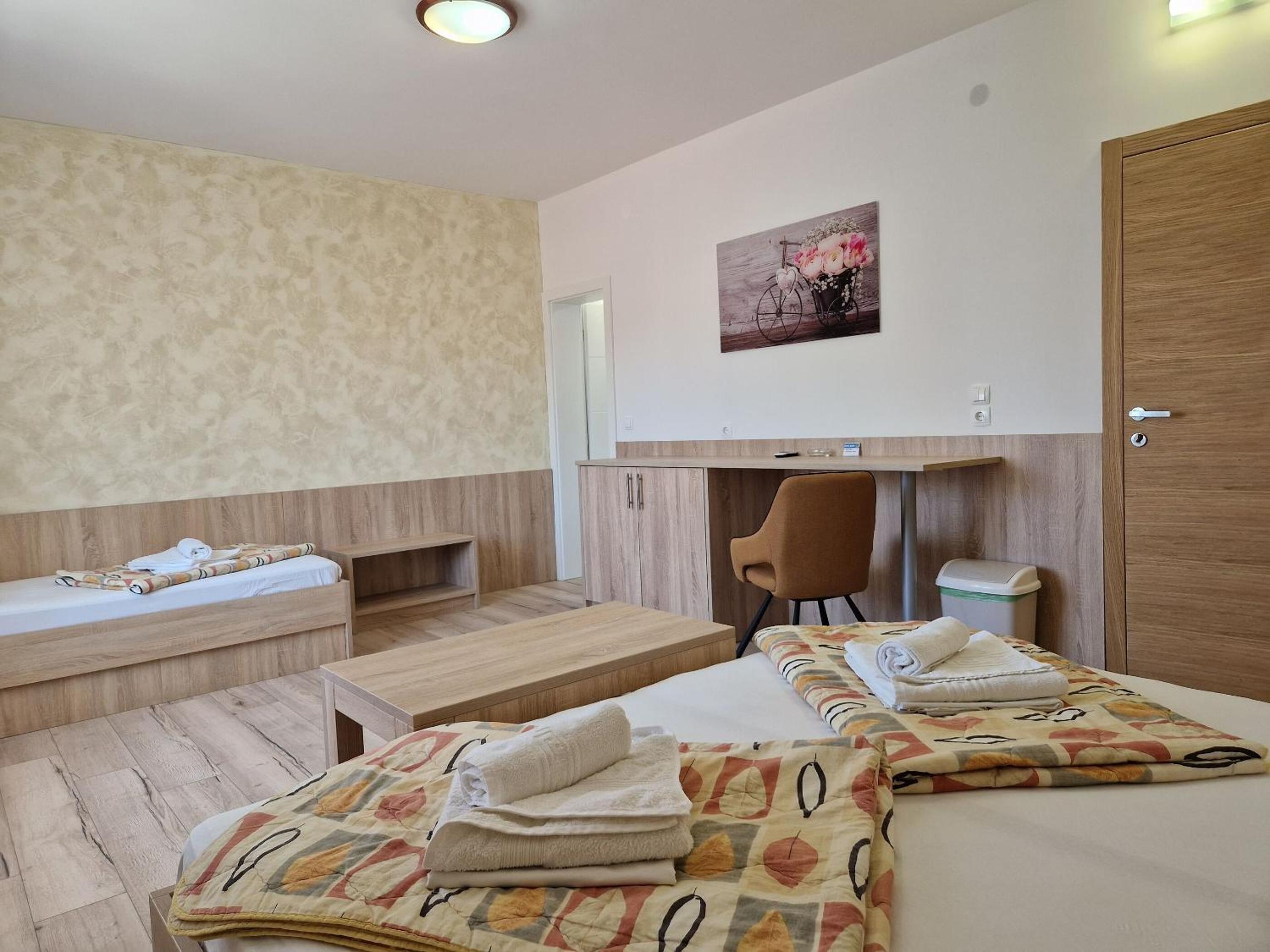 Triple Room with Balcony photo 1