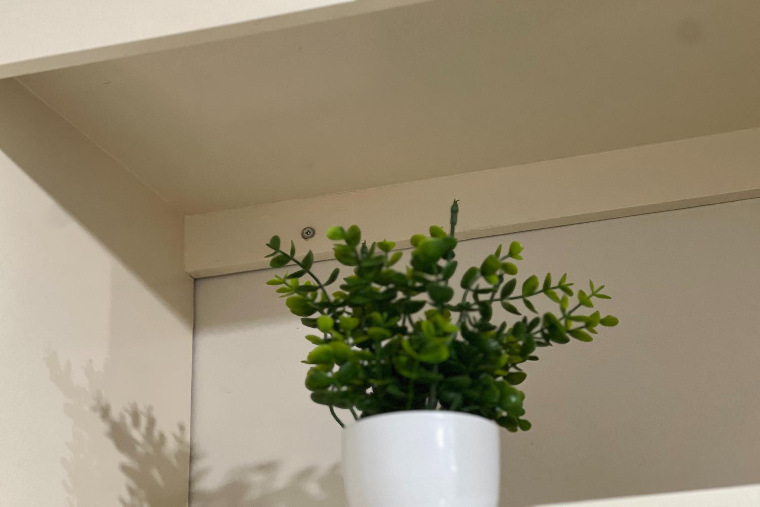 Standard Family Room - Photo 4