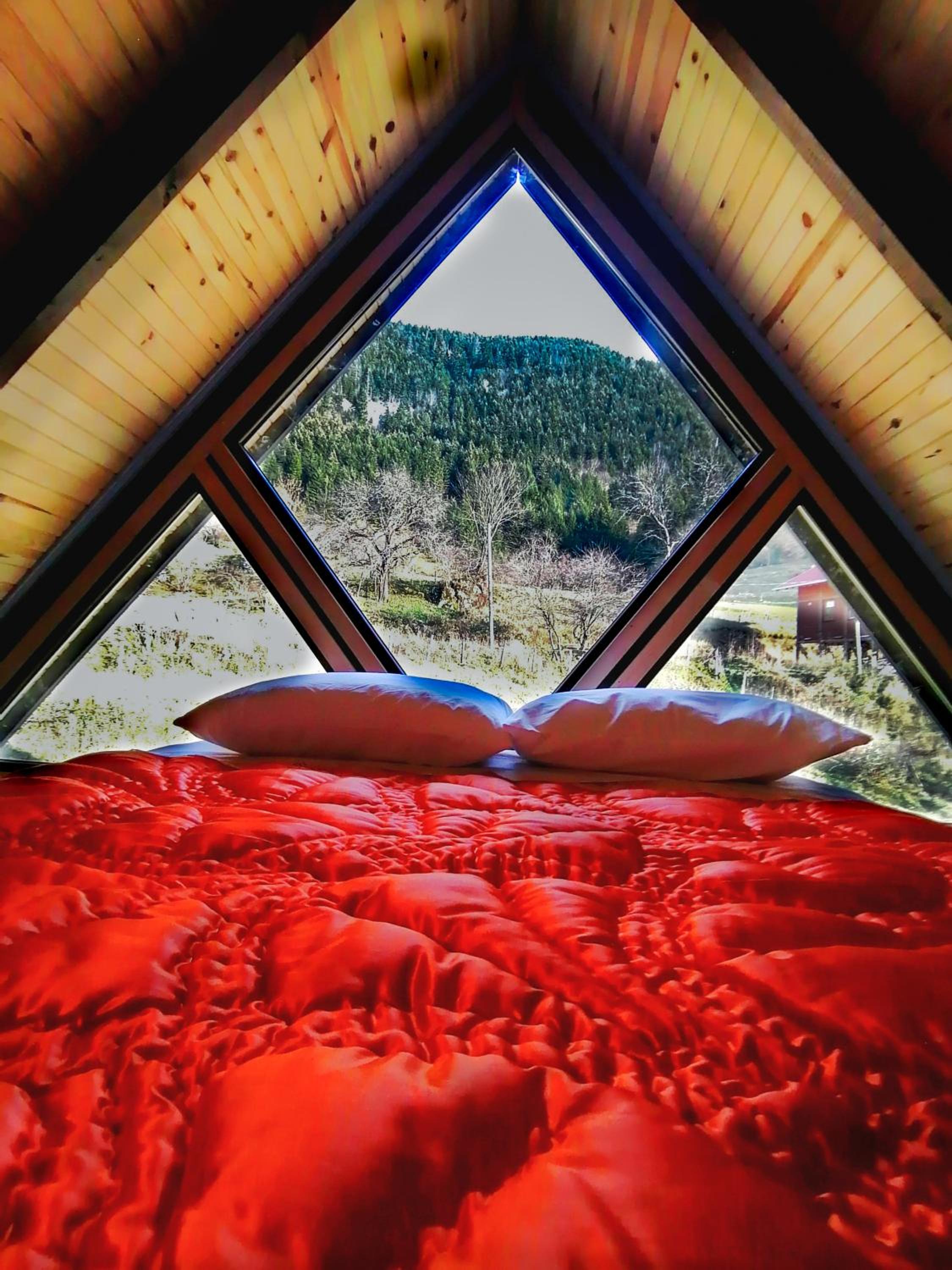 Deluxe Bungalow photo 2