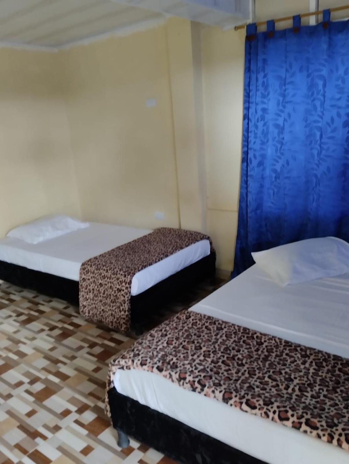Triple Room photo 1