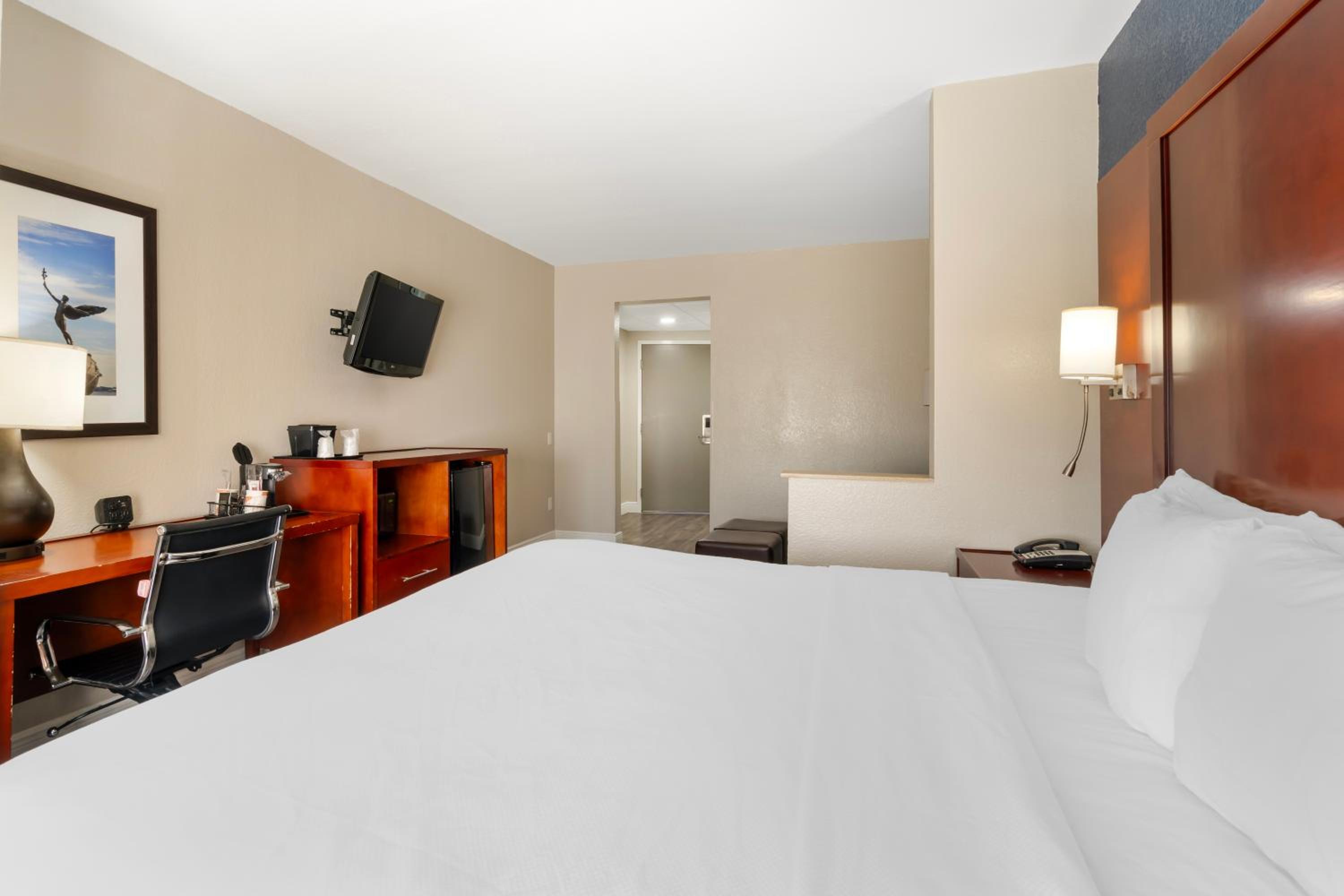 One Room Suite - Non Smoking - Photo 1