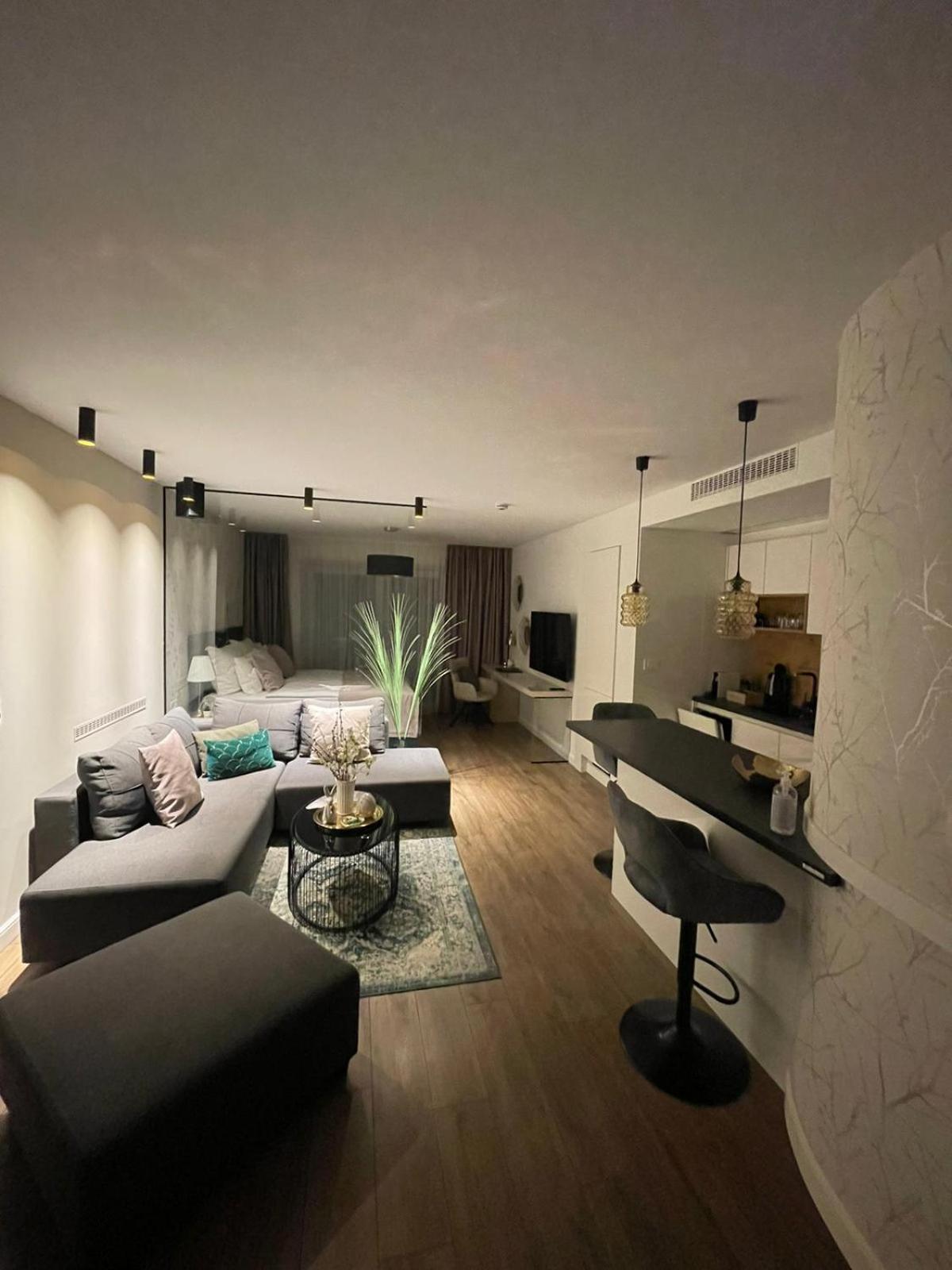 One-Bedroom Apartment - Photo 9