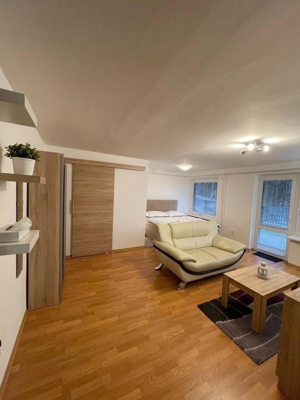 Standard Apartment photo 3