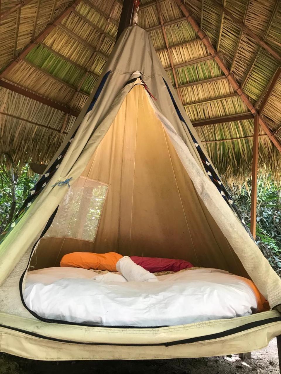 Tent photo 1