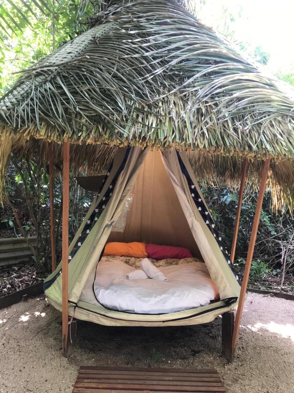 Tent photo 2