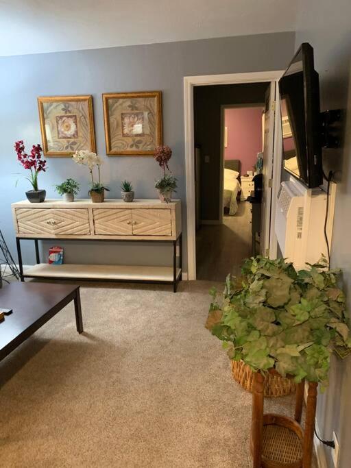 One-Bedroom House photo 1