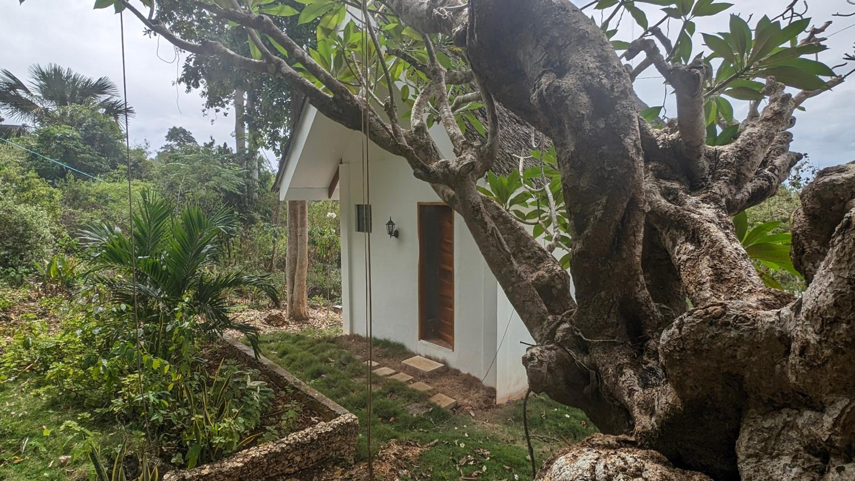 Bungalow with Sea View photo 3