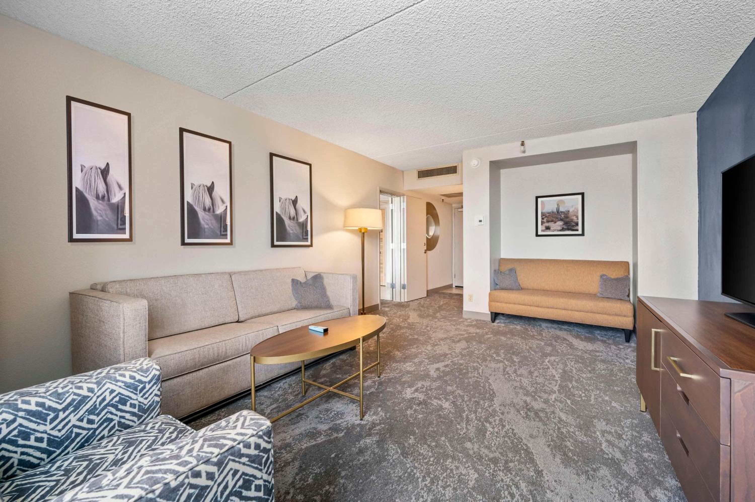 Standard King Suite