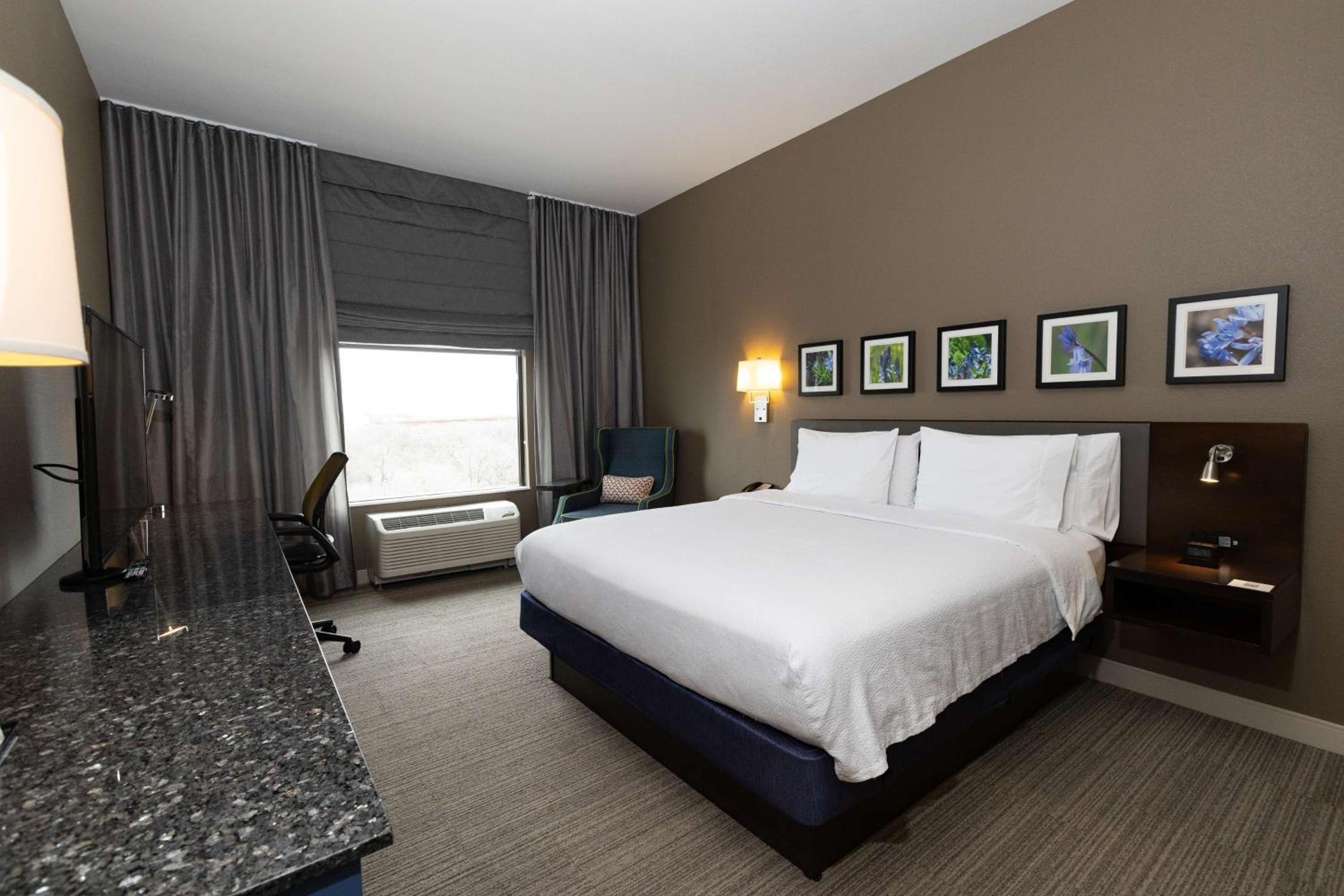 Junior King Suite with Sofa Bed