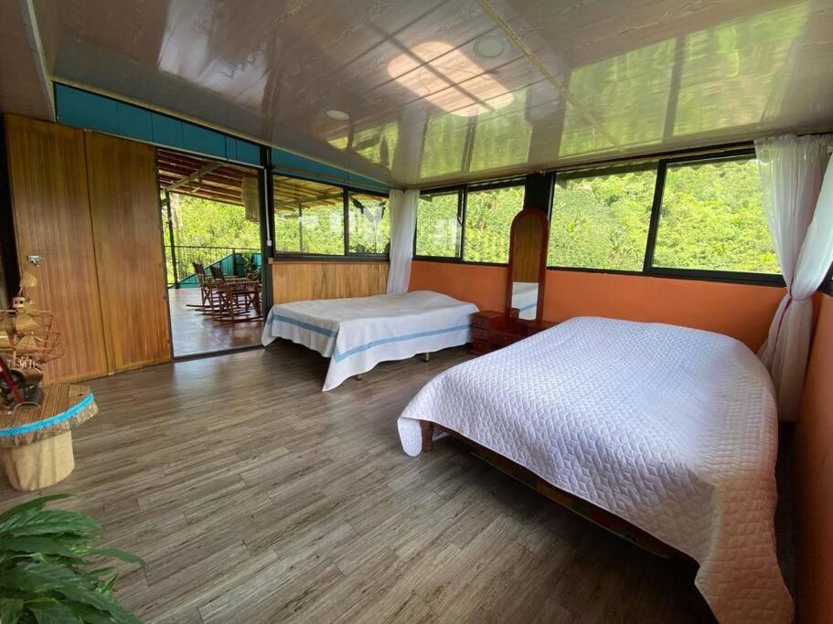 One-Bedroom House photo 1