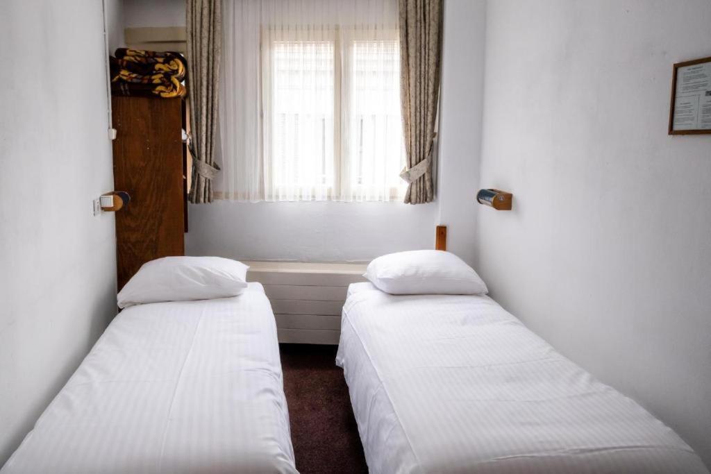 Twin Room photo 3