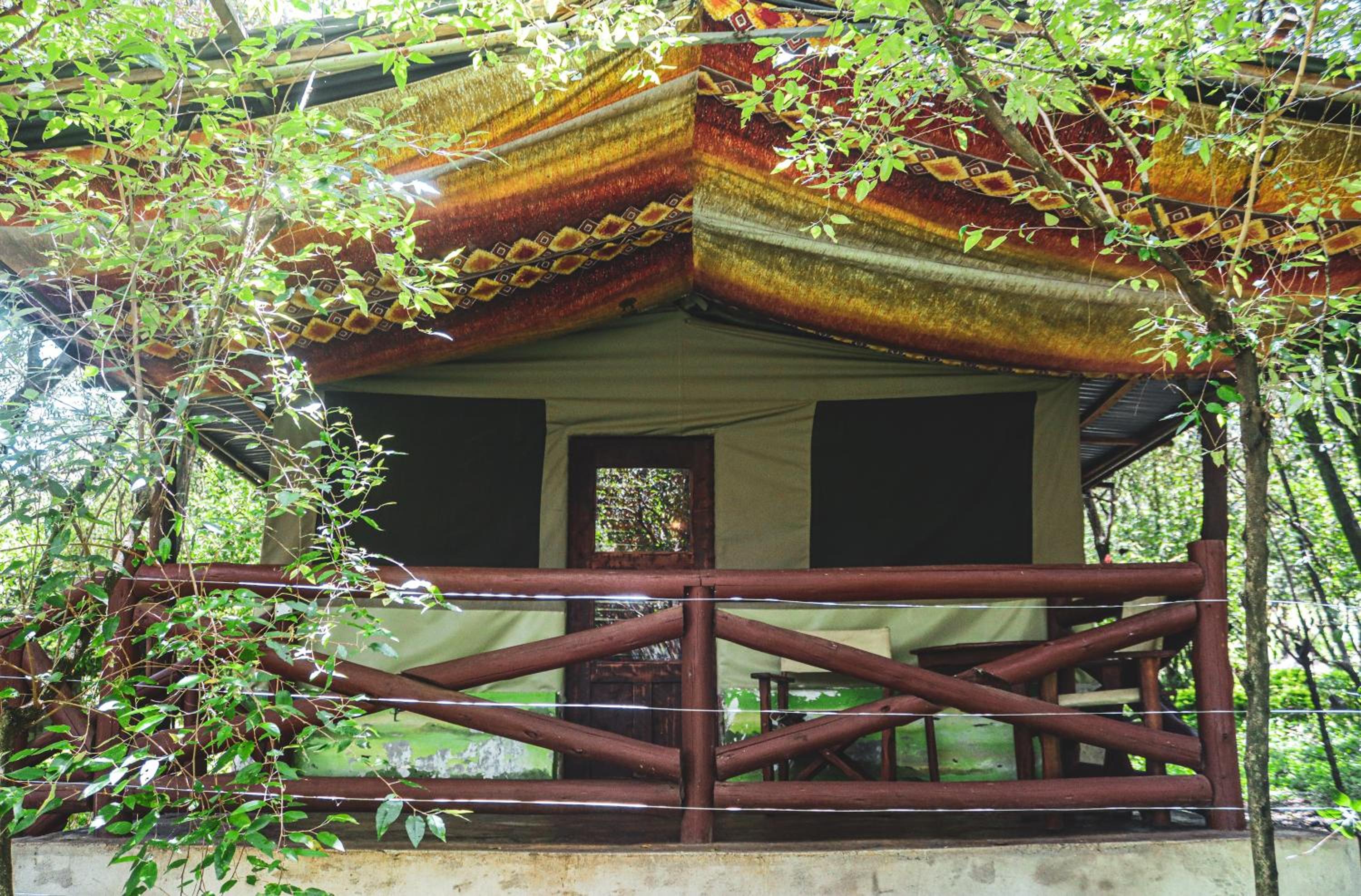 Twin Room with Terrace photo 1