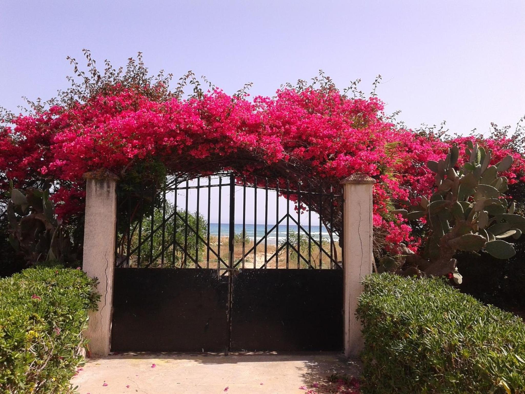 Holiday Home photo 2