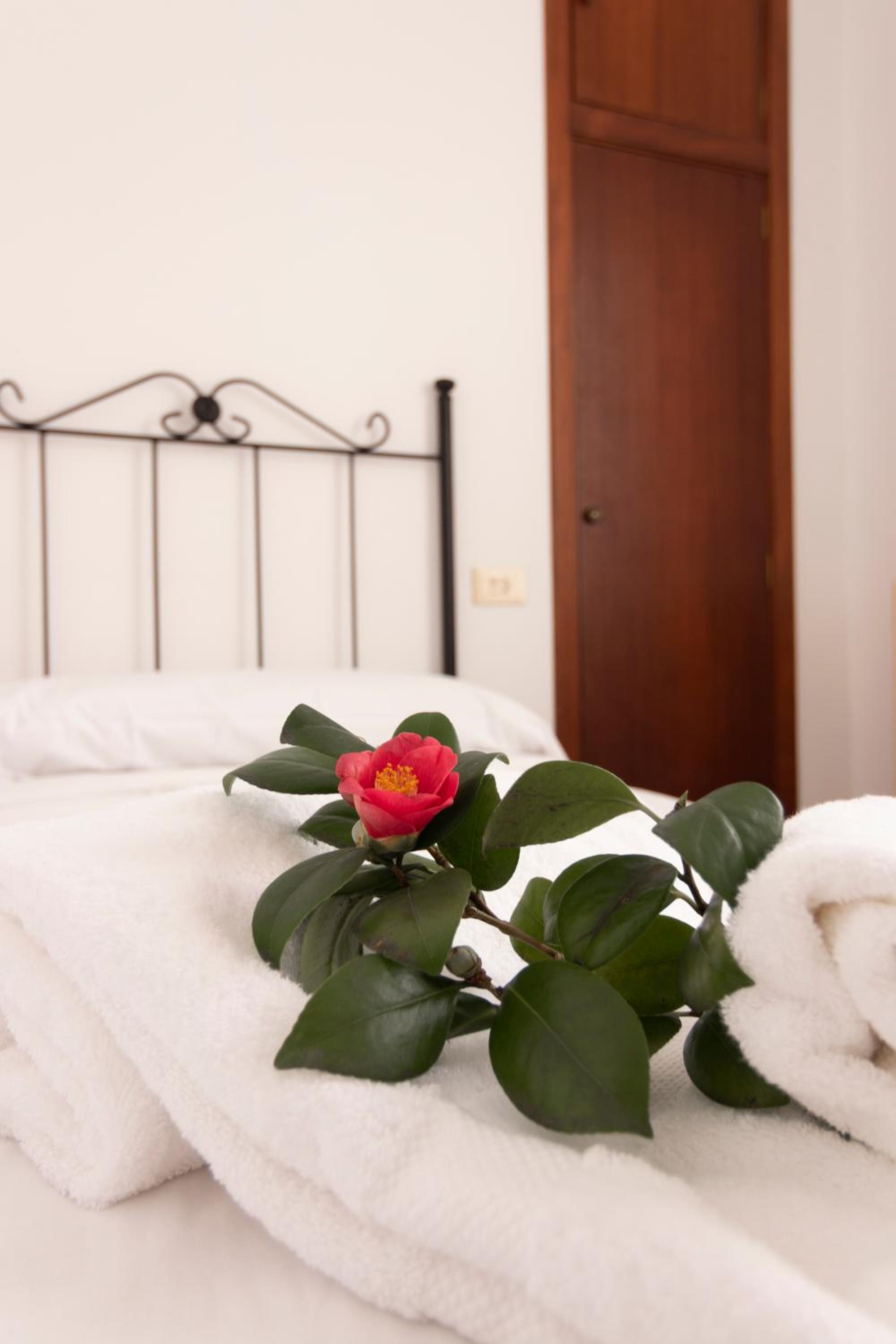 Habitación Sencilla con Vista al Jardín
