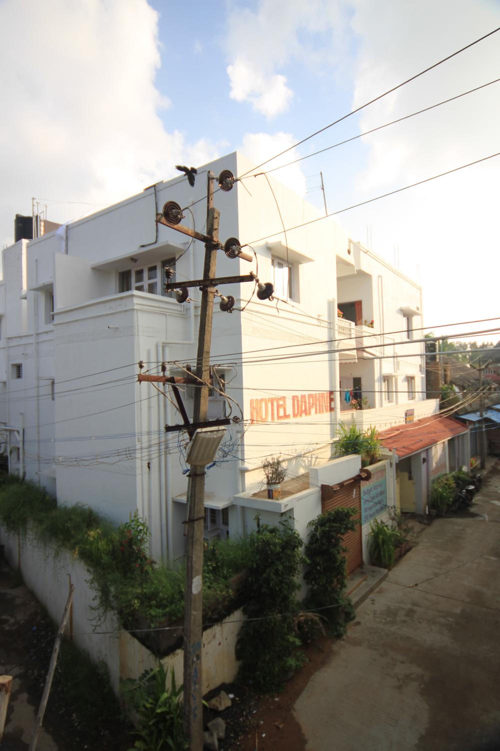 Single Room photo 2