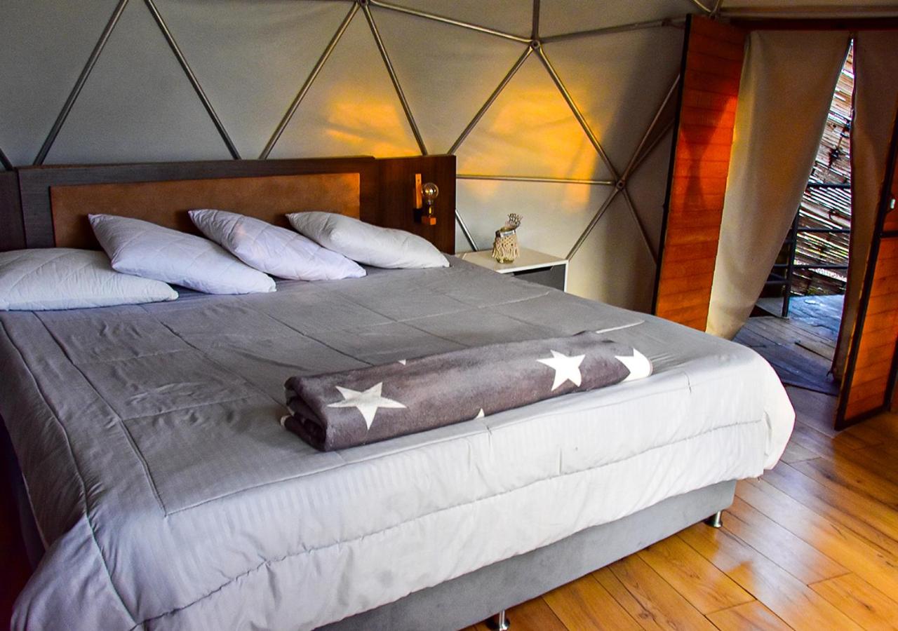 Deluxe King Room photo 1