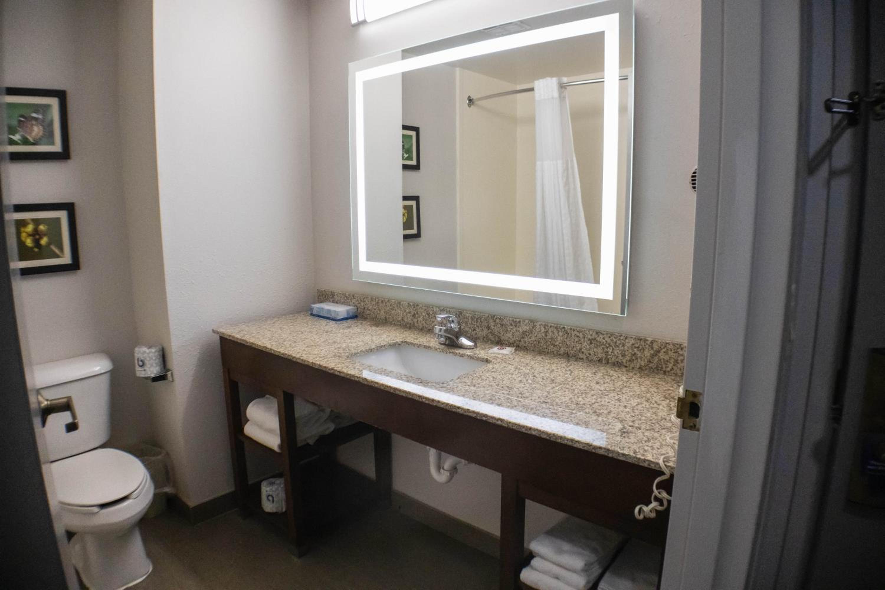 Standard King Suite - Non-Smoking - Photo 11