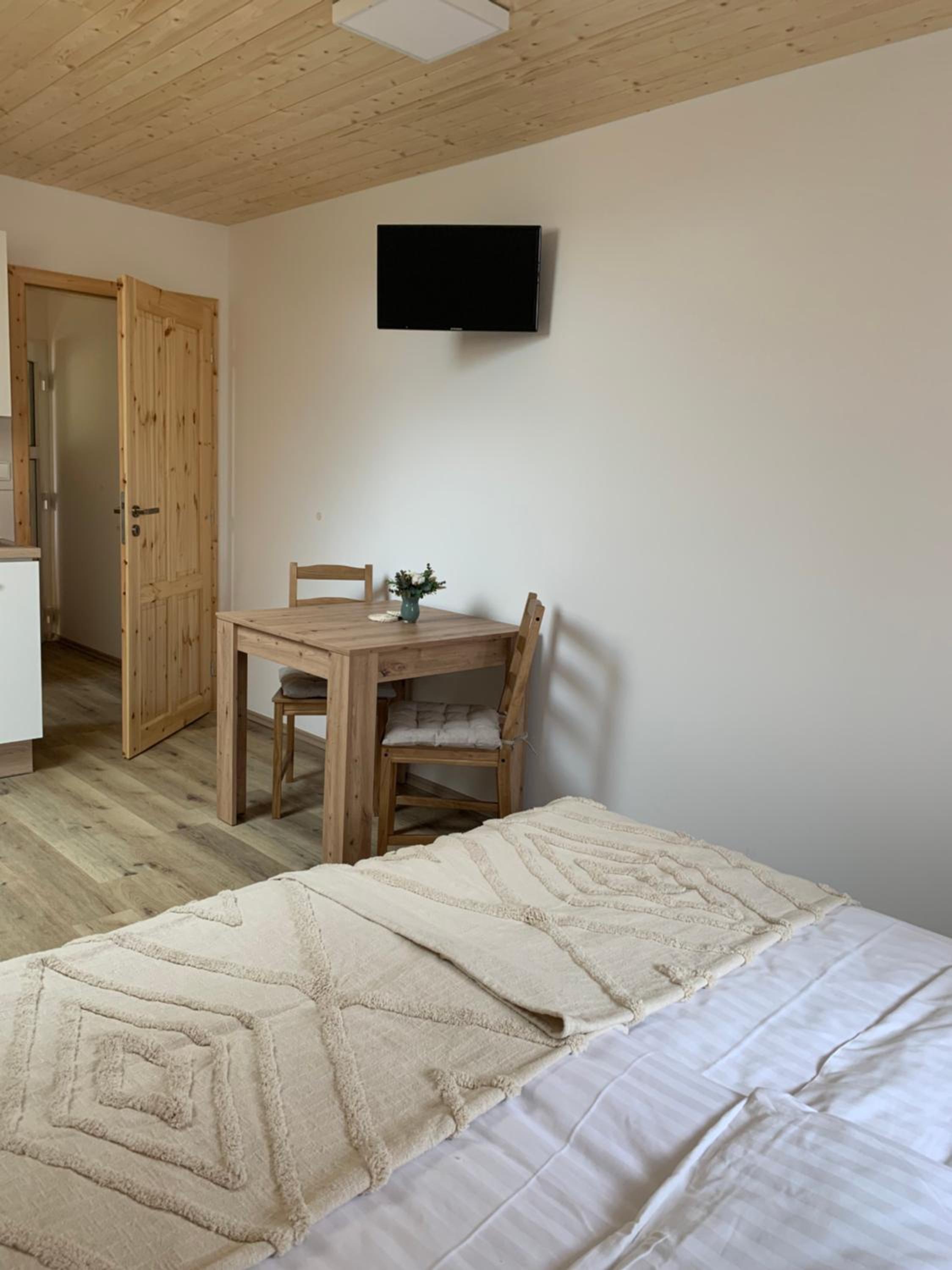 One-Bedroom Apartment - Photo 4