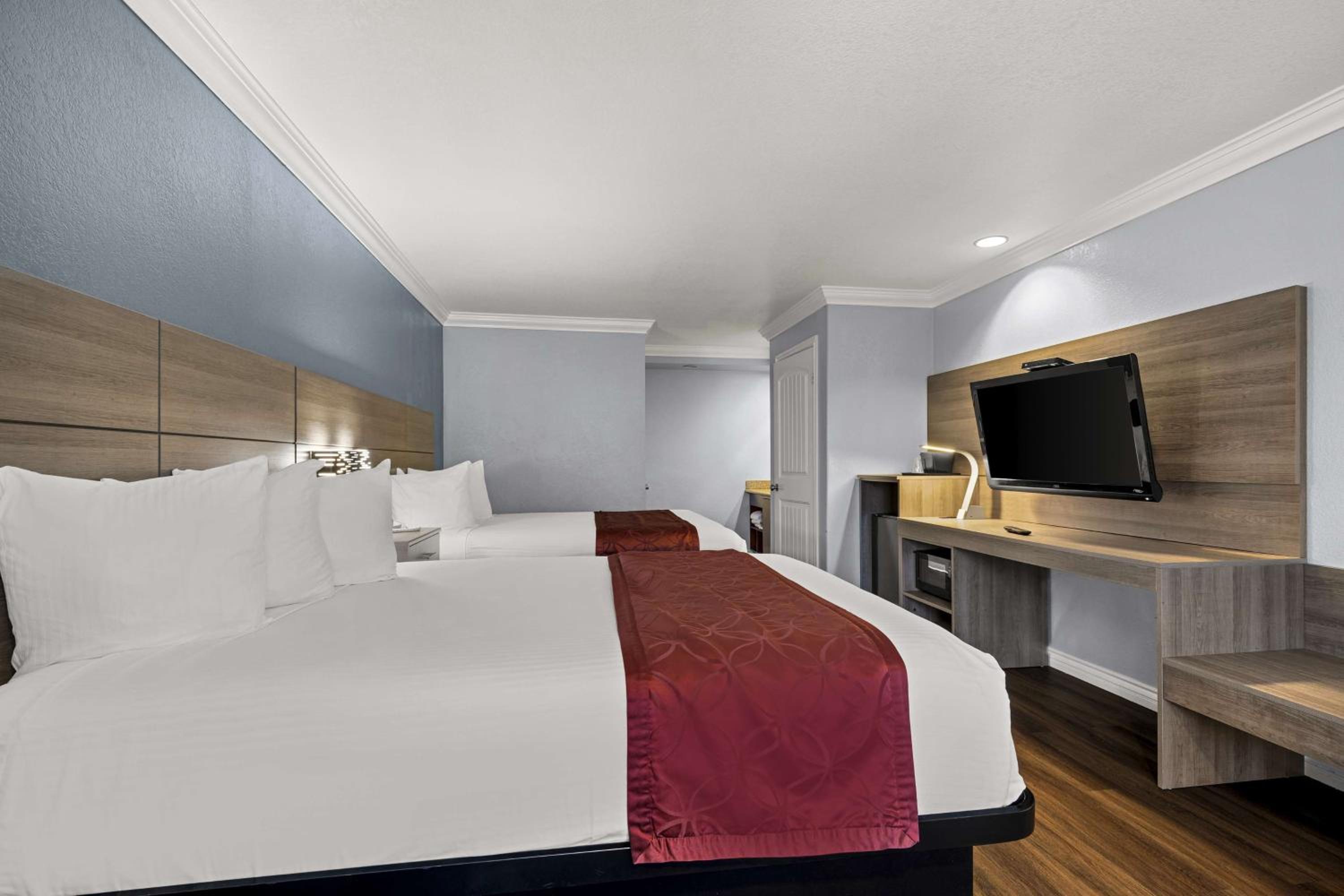 Double Room - Disability Access - Photo 3