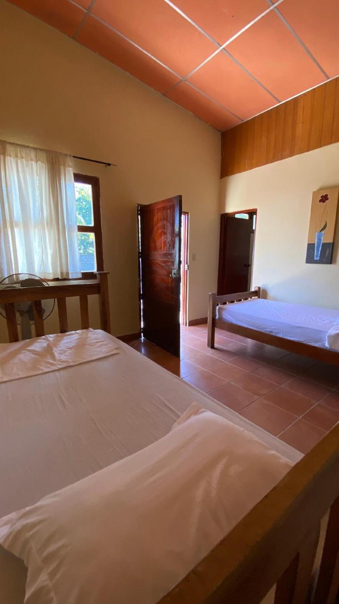 Standard Twin Room photo 1