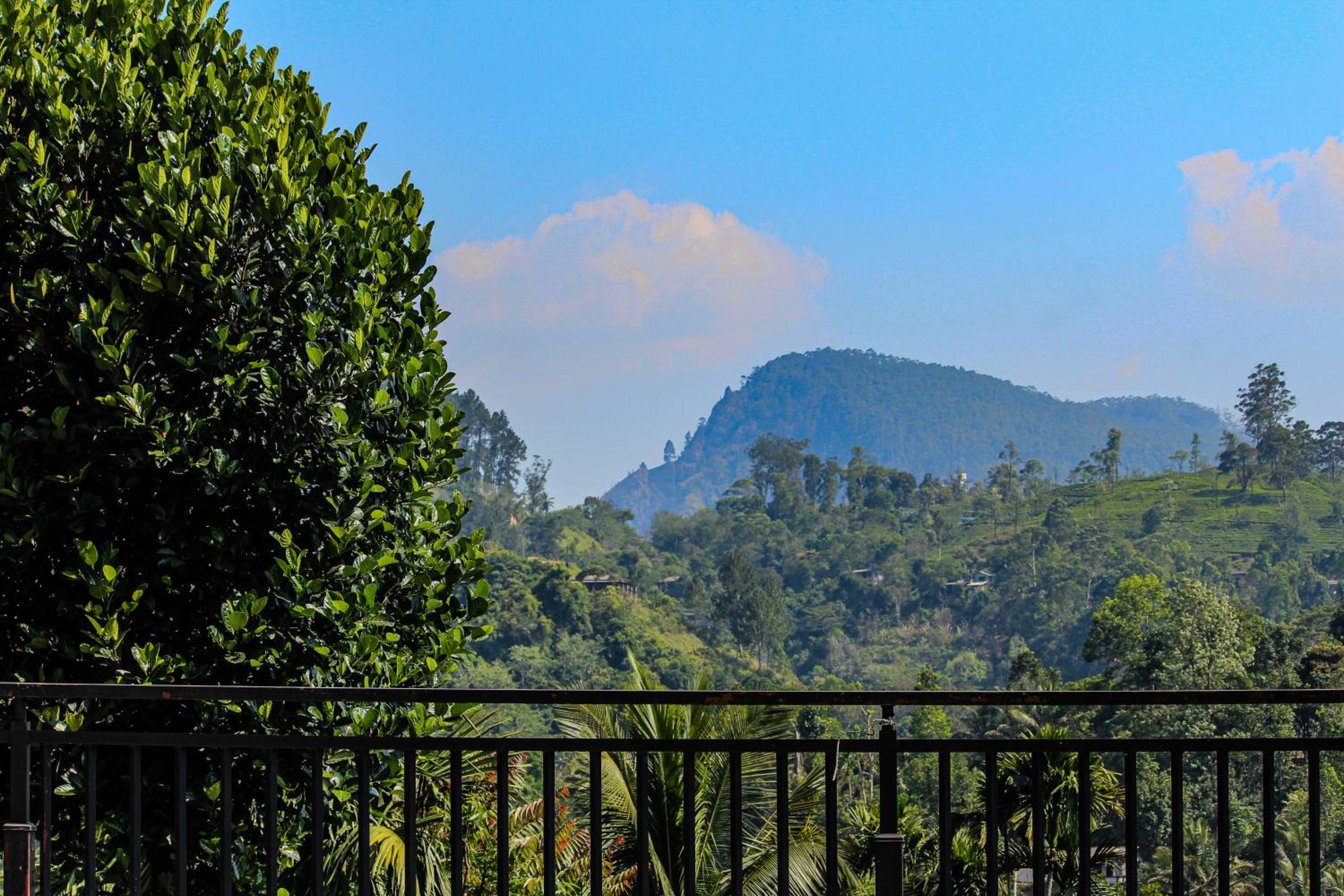 Double Room with Balcony photo 2