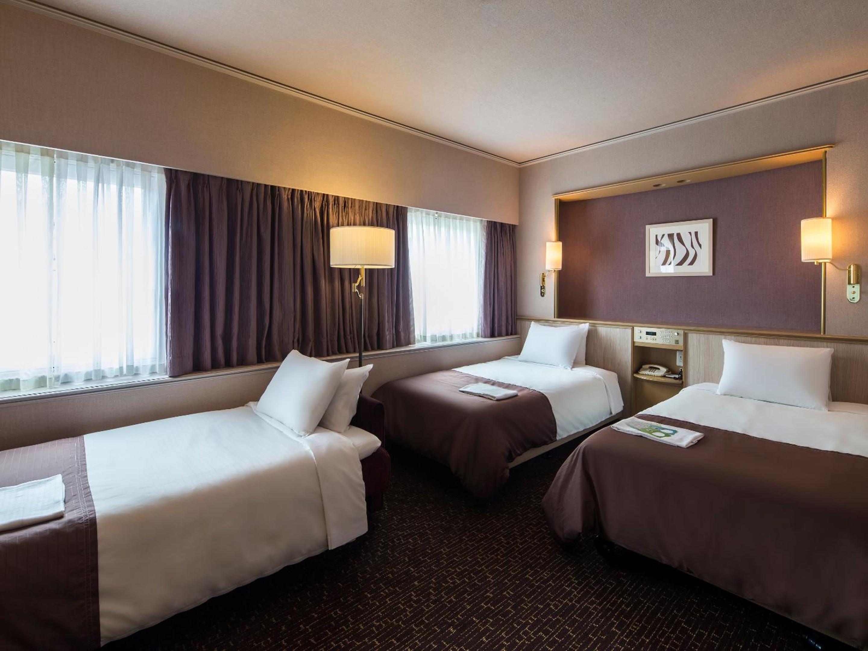 Executive Twin Room For Triple Use - Non-Smoking