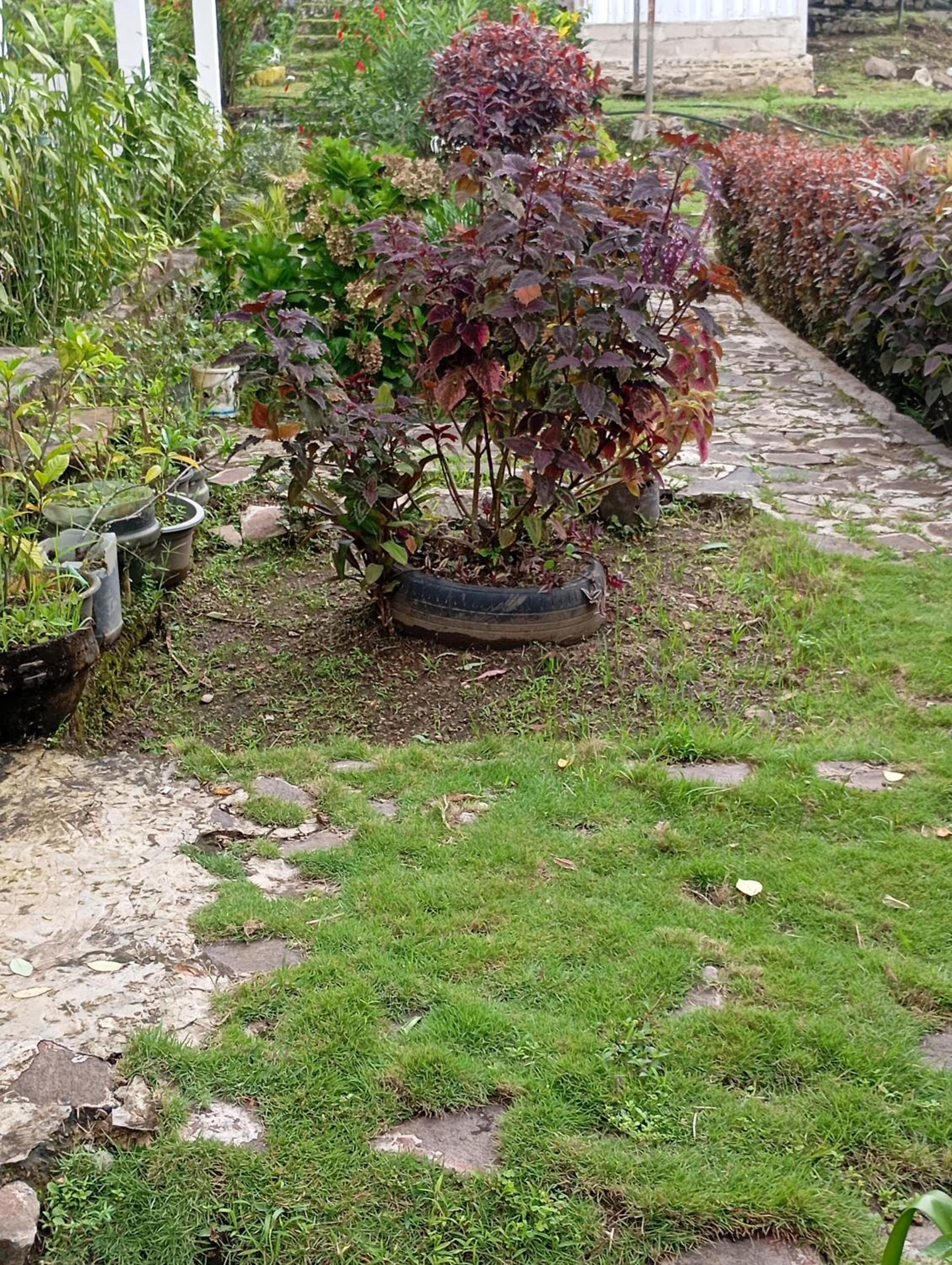 Double Room - Photo 15