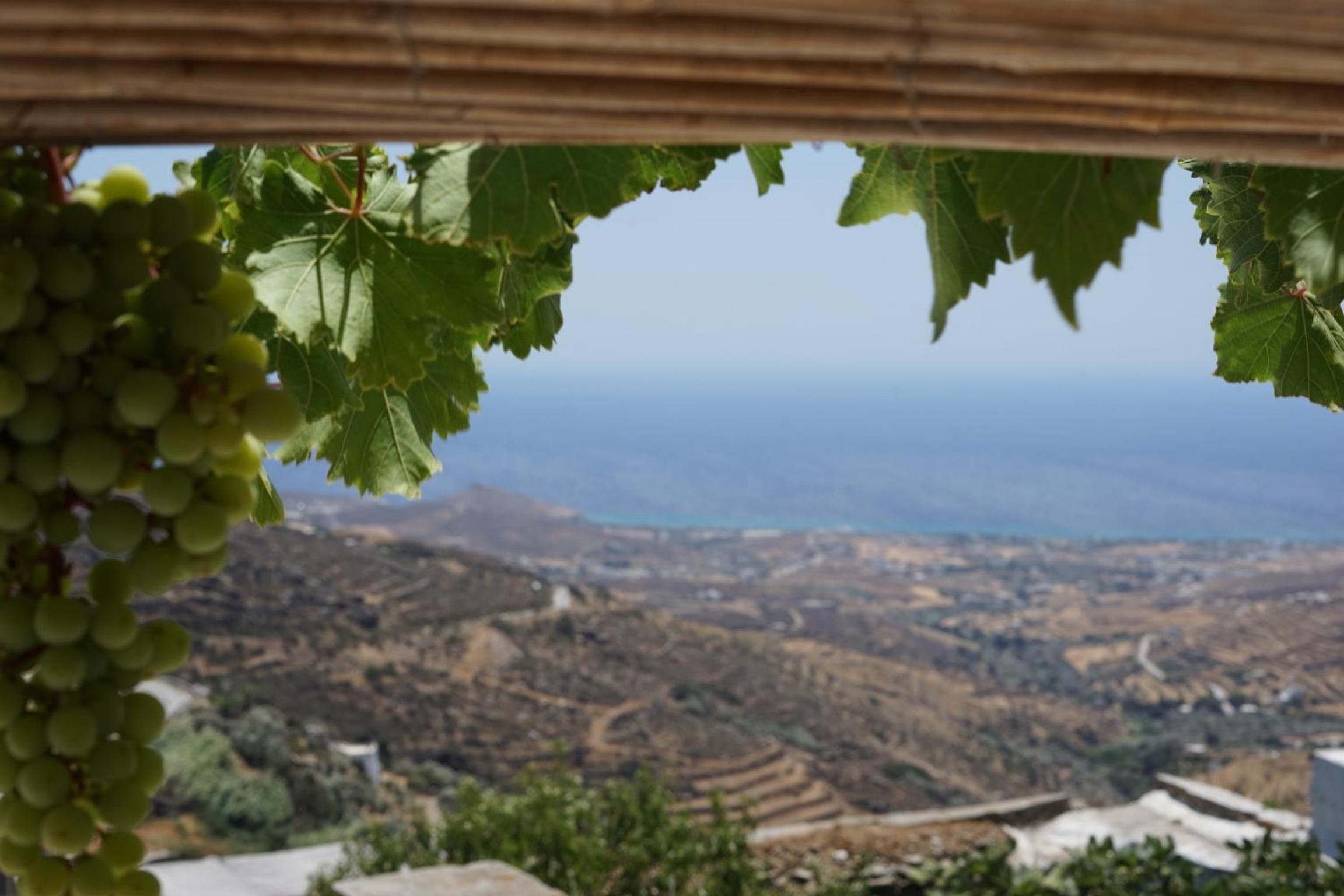 Villa with Sea View - Photo 14