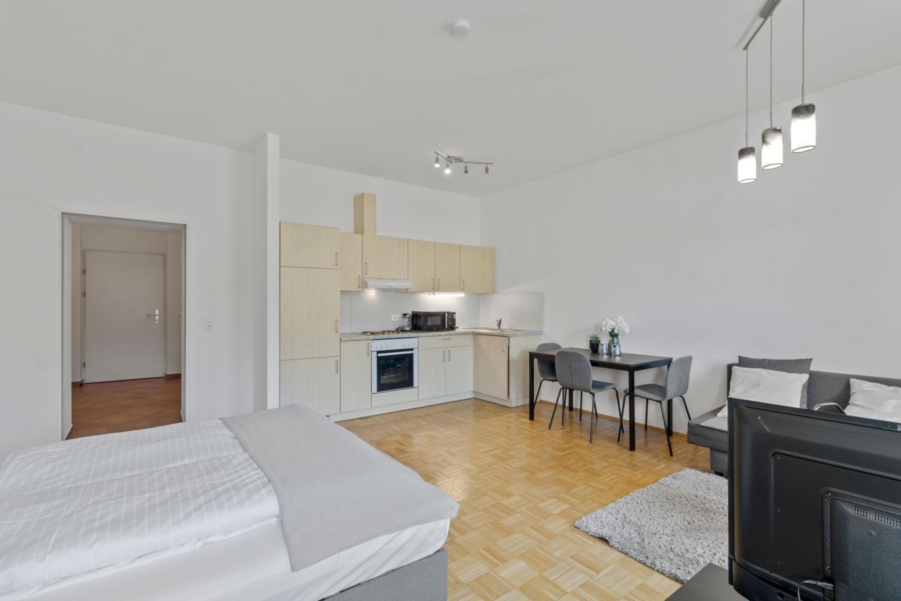 One-Bedroom Apartment photo 3