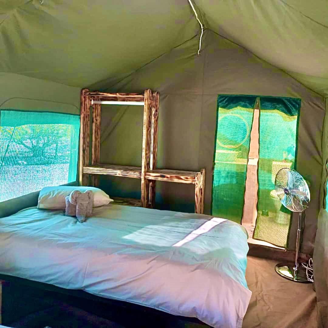 Tent
