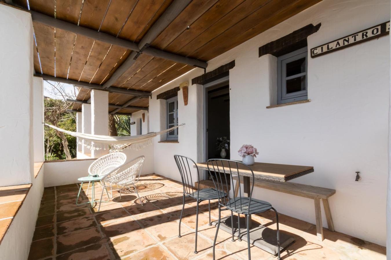 Apartment with Terrace photo 2