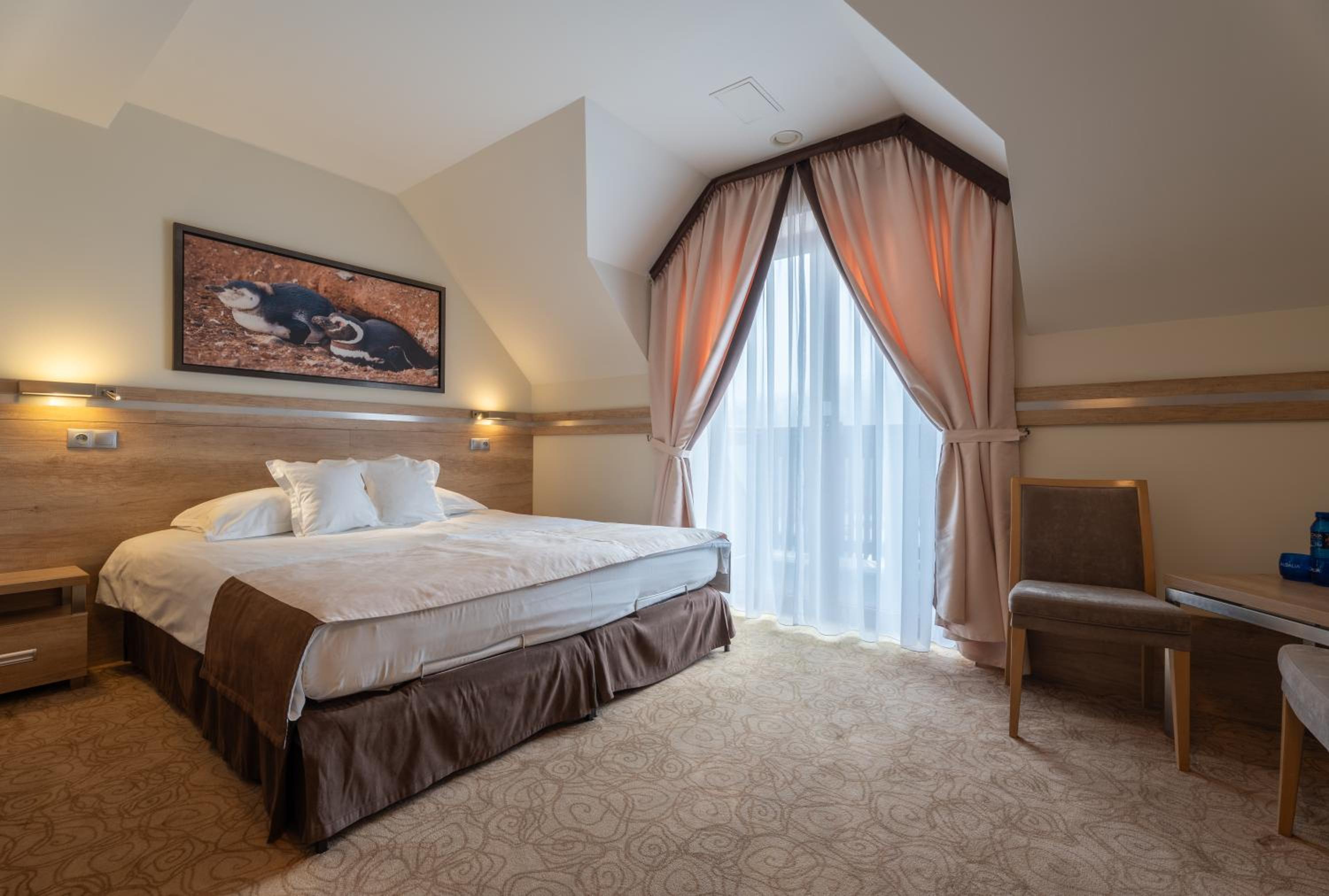 Double or Twin Room photo 1