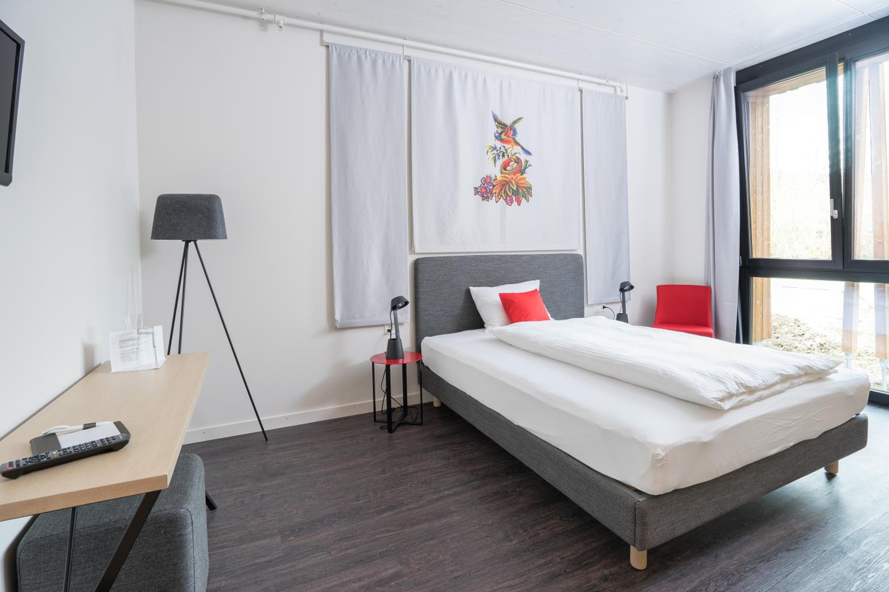 Classic Single Room photo 3