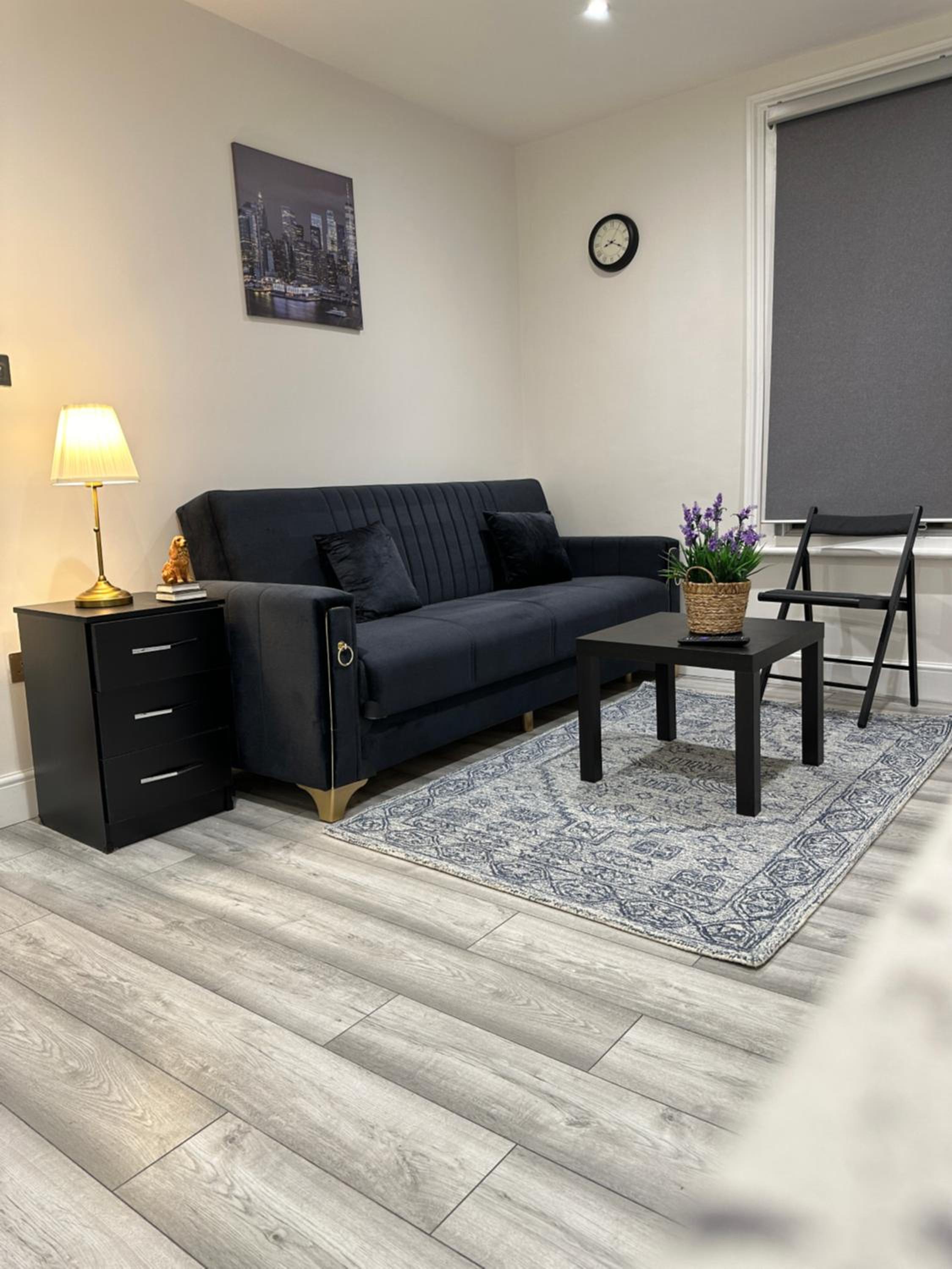 One-Bedroom Apartment photo 3