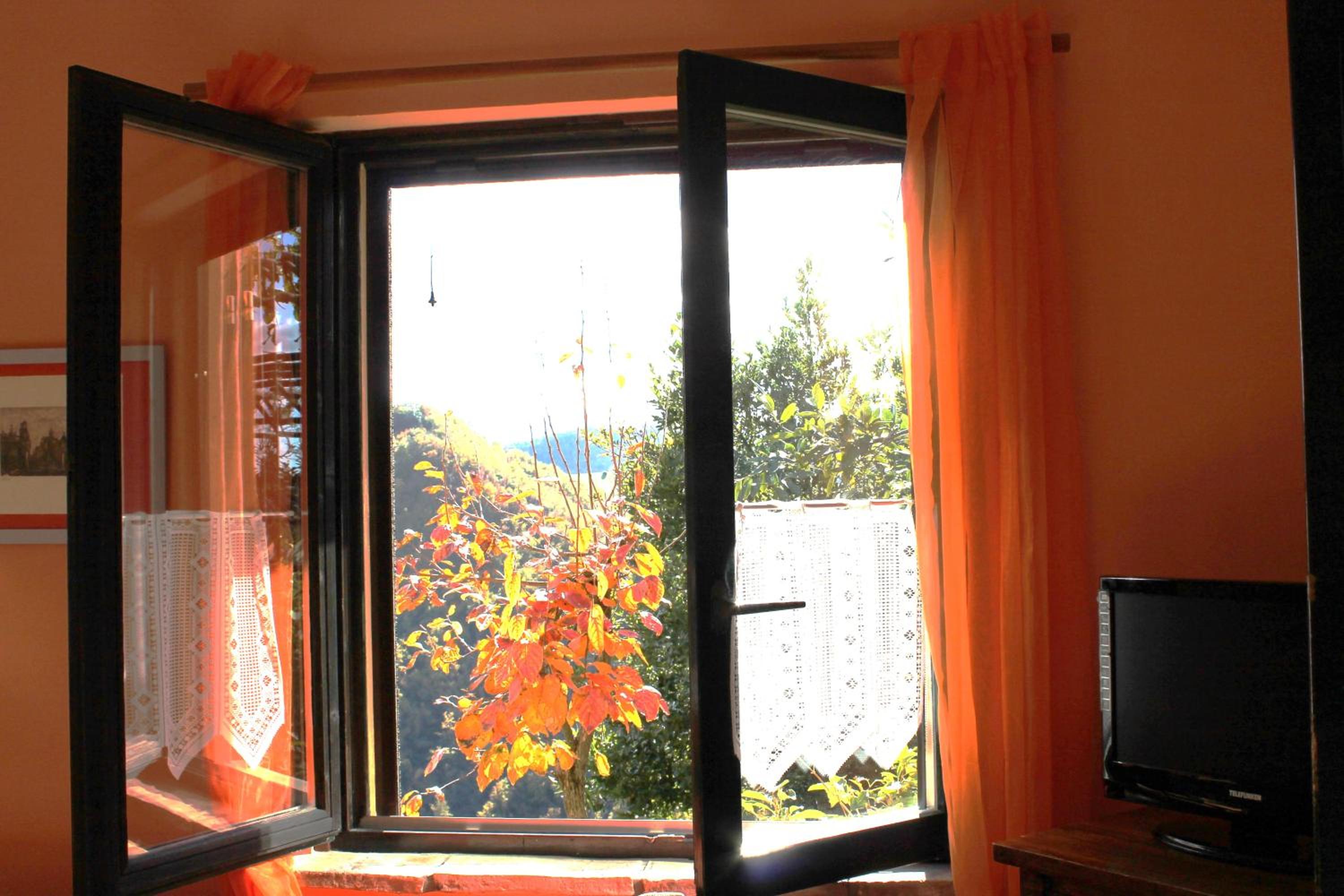 One-Bedroom Apartment - Dependance photo 3
