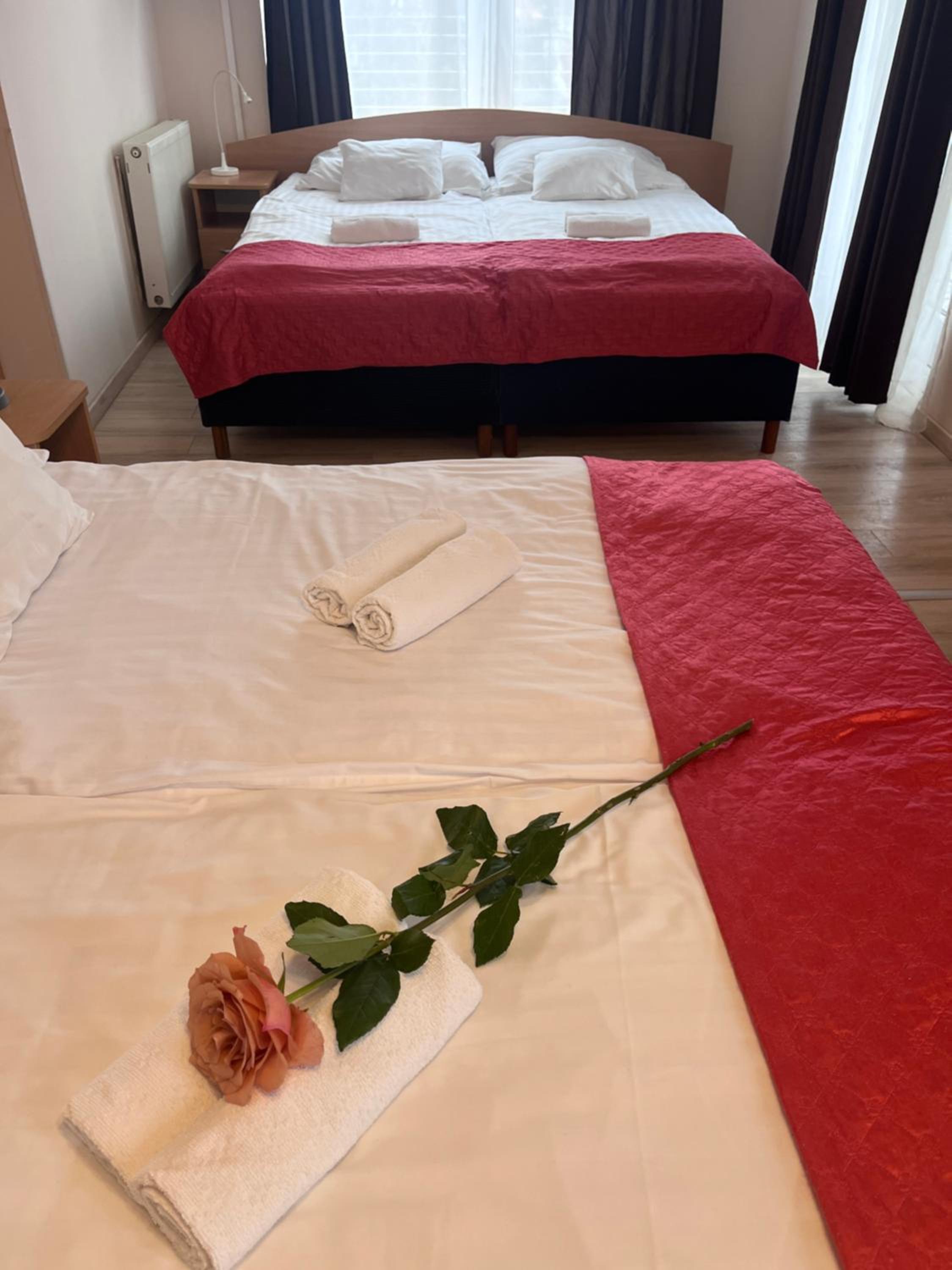 Standard Quadruple Room - Photo 6