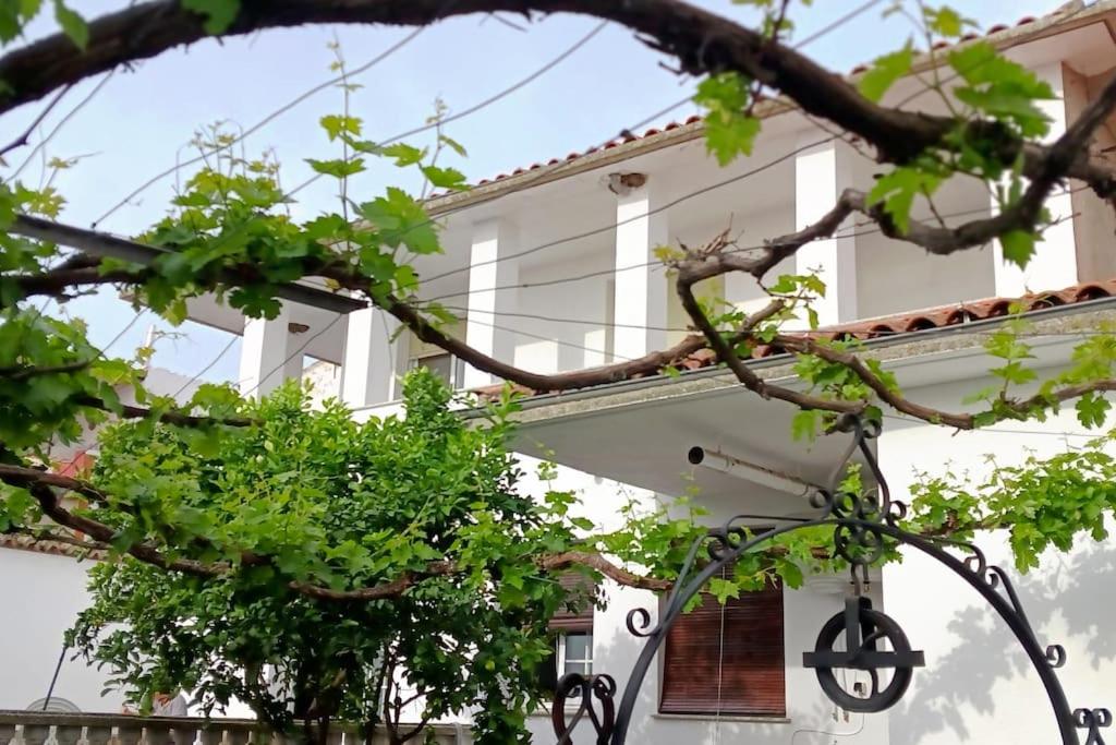 Five-Bedroom House photo 2